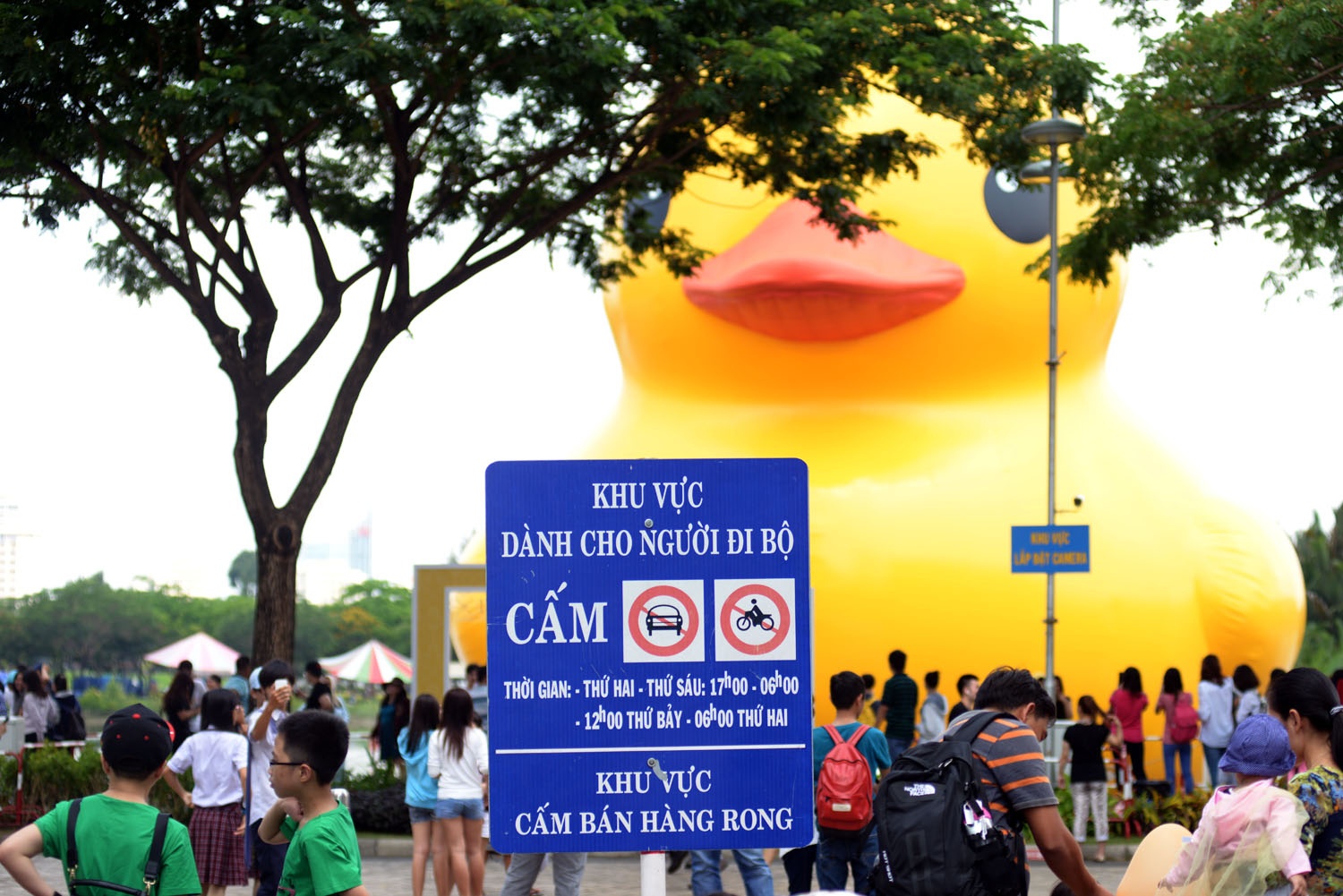 Ban tổ chức đã cấm xe có động cơ vào khu vực hồ bán nguyệt để cho khách đi thăm quan.