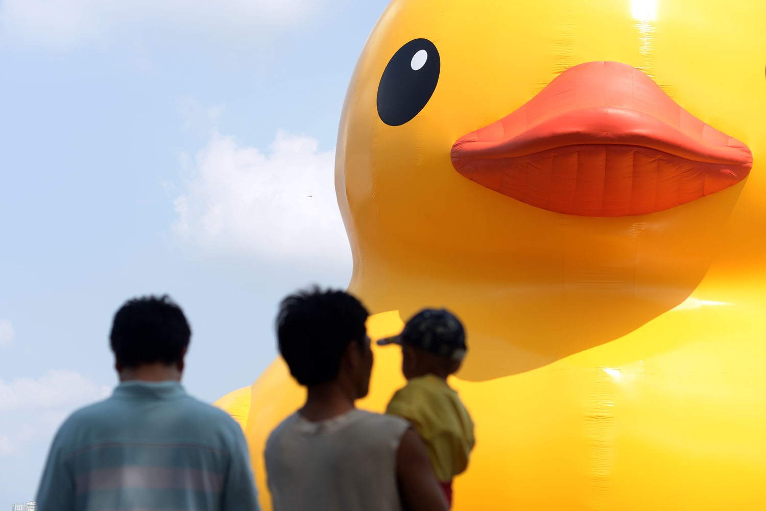 Vit khong lo lenh denh tren ho o Sai Gon hinh anh