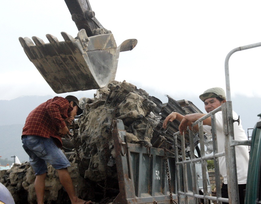 Dan do xo dao xoi bai bien tim manh xac may bay hinh anh