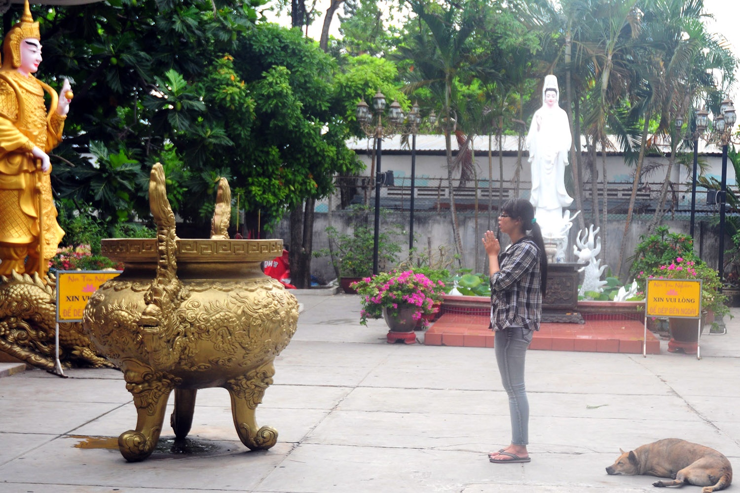 Ngày 2/7, các sỹ tử bắt đầu vào TP.HCM tìm chỗ ở để tiện cho kỳ thi Đại học sắp diễn ra. Chùa Bảo Minh là nơi đón tiếp gần 100 bạn trẻ trong ngày.