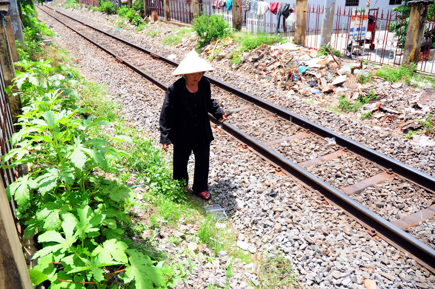 Cu ba ban ve so hai la thuoc cuu nguoi hinh anh