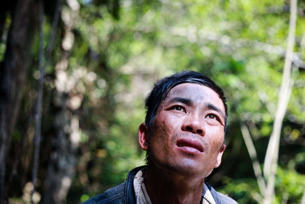 Ánh mắt chăm chú của anh Nguyễn Ngọc Mỹ nhìn từng con ong bay để có thể “định vị” nơi làm tổ của ong