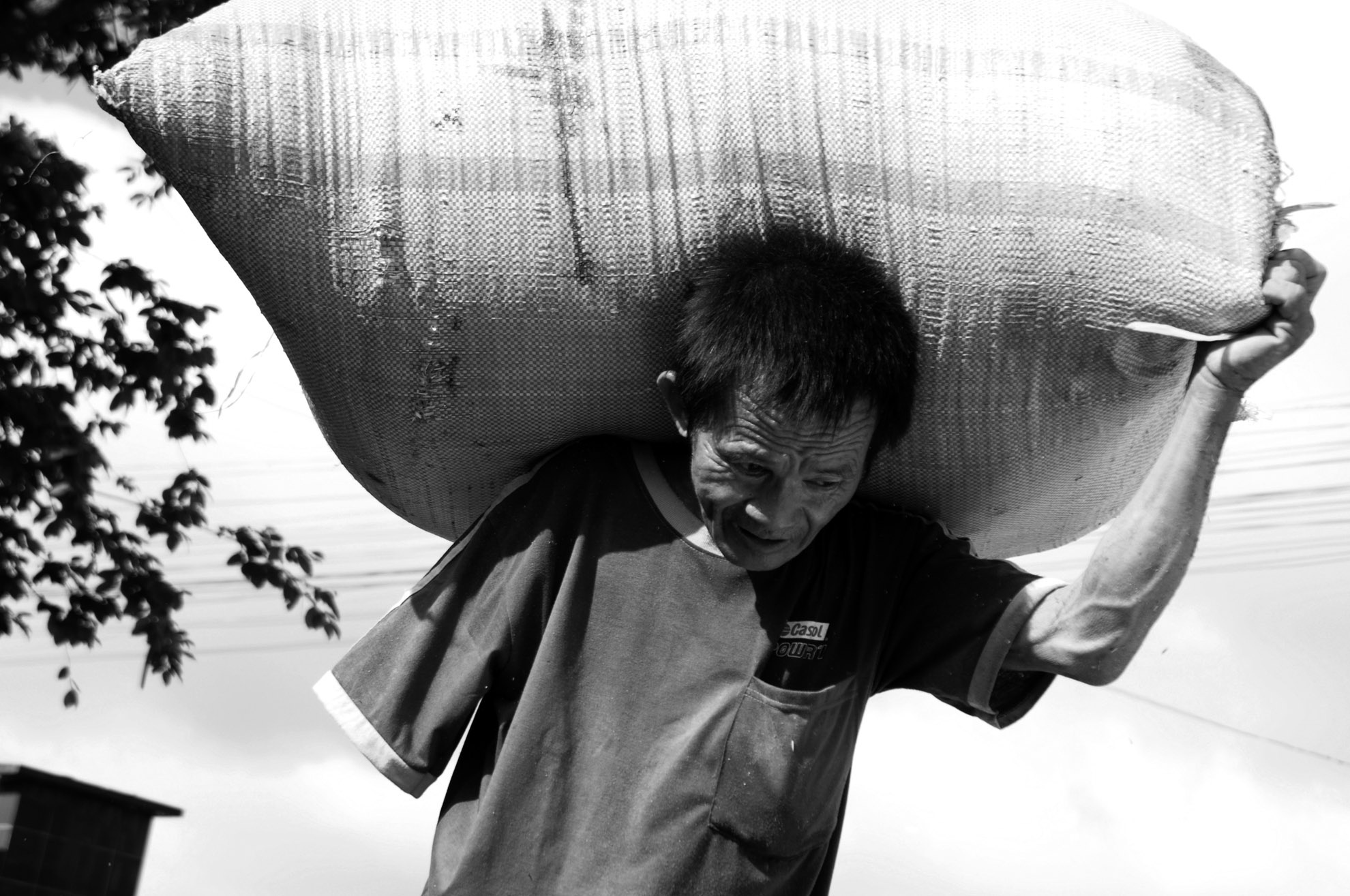 Sau tai nạn, ông đành tìm đến công việc bốc trấu để bán cho các lò đúc bánh đa, hủ tiếu…