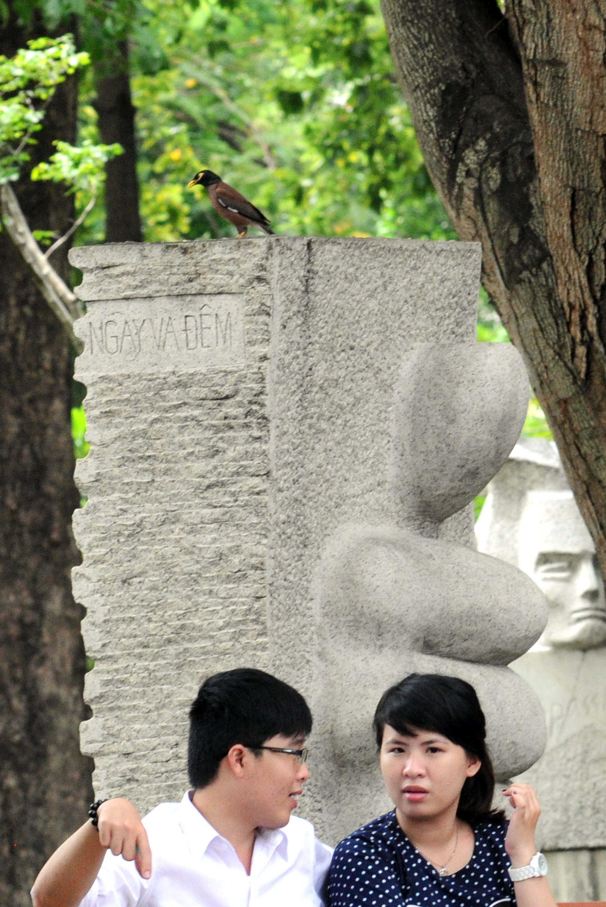 Đôi lúc, chúng lại đứng trên cao để “hóng” các bạn trẻ đang tâm sự ở ghế đá công viên.