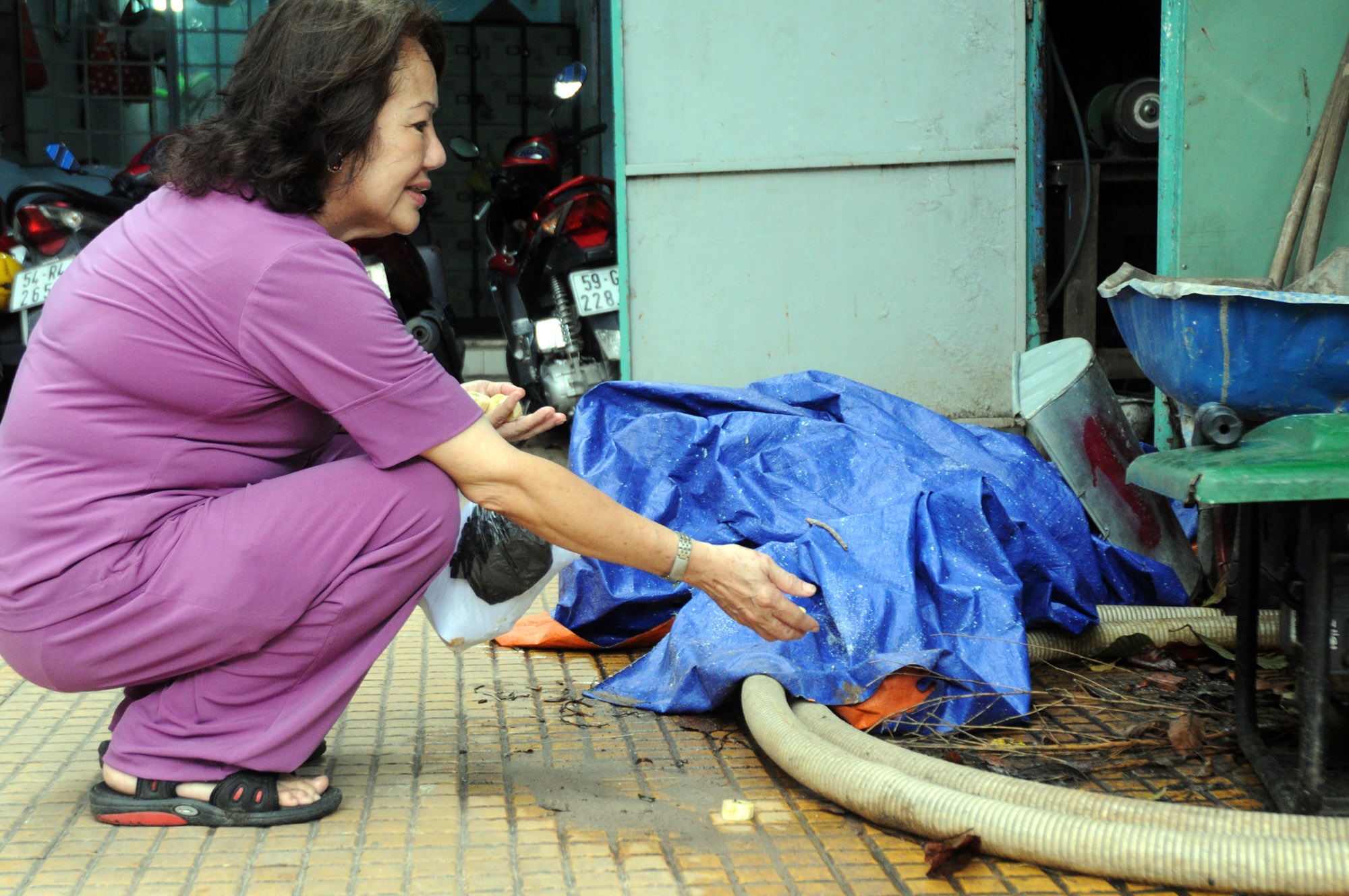 Bà Liễu, một người dân thường xuyên mua thức ăn đưa đến công viên cho chim và Sóc ăn. Từ 6 giờ sáng, bà Liễu mang theo bịch thức ăn đến bỏ ở các gốc cây có nhiều chim, Sóc sinh sống.