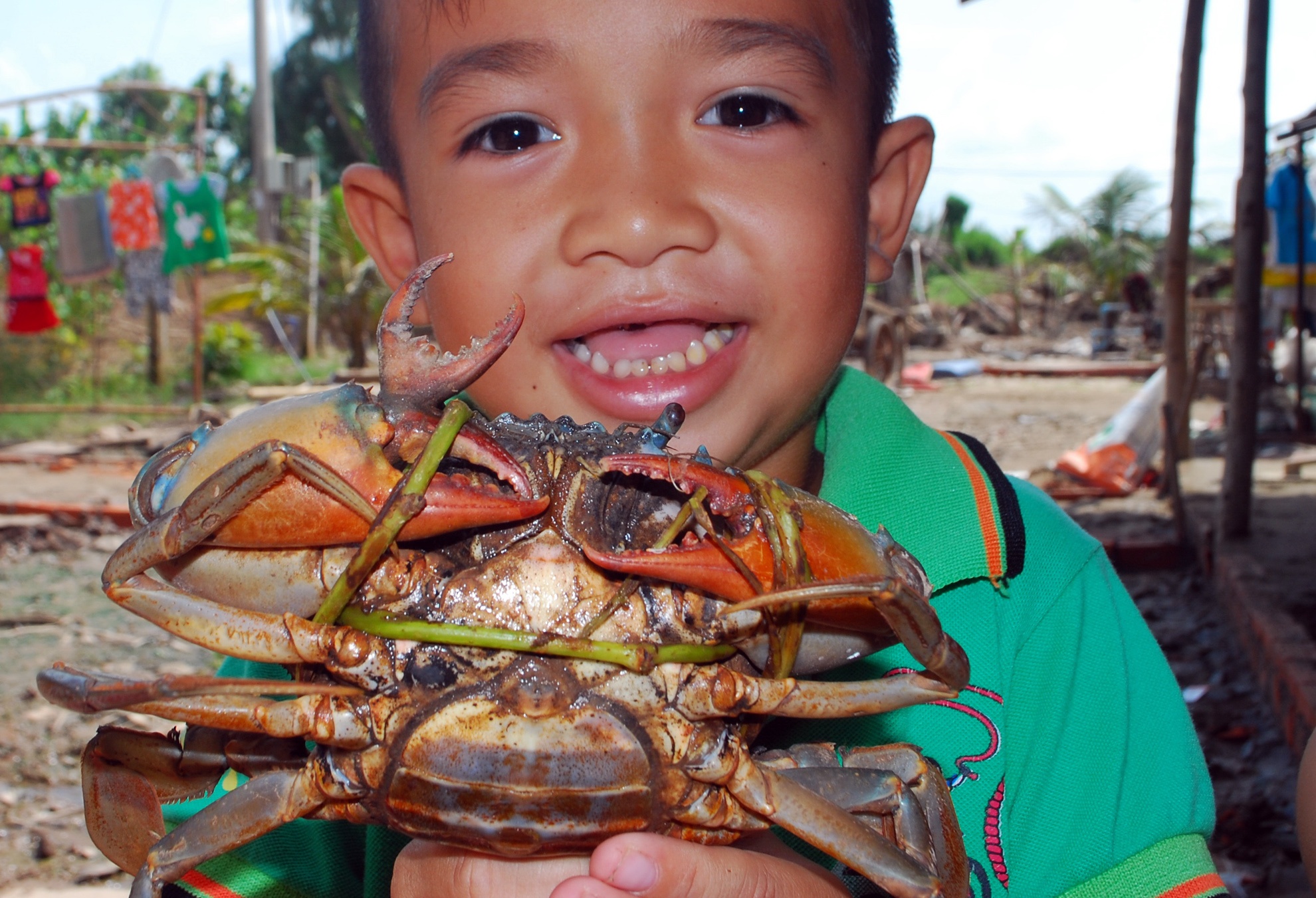 Vì đây là một con cua còn non nên Anh Minh cho biết: sẽ nuôi chú “cua lạ” này để theo dõi sự phát triển của chiếc càng thứ 3 ra sao.