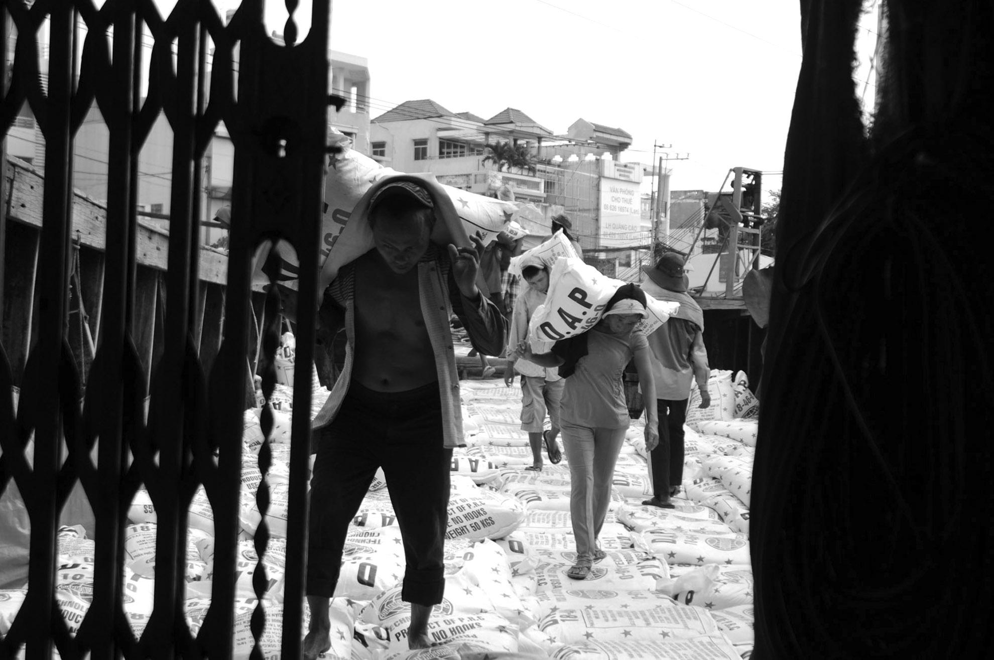 Dù biết là vất vả và nguy hiểm, nhưng họ vẫn chấp nhận để làm nghề. Đã có nhiều trường hợp làm được ít bữa phải “bỏ của chạy lấy người” vì mệt.