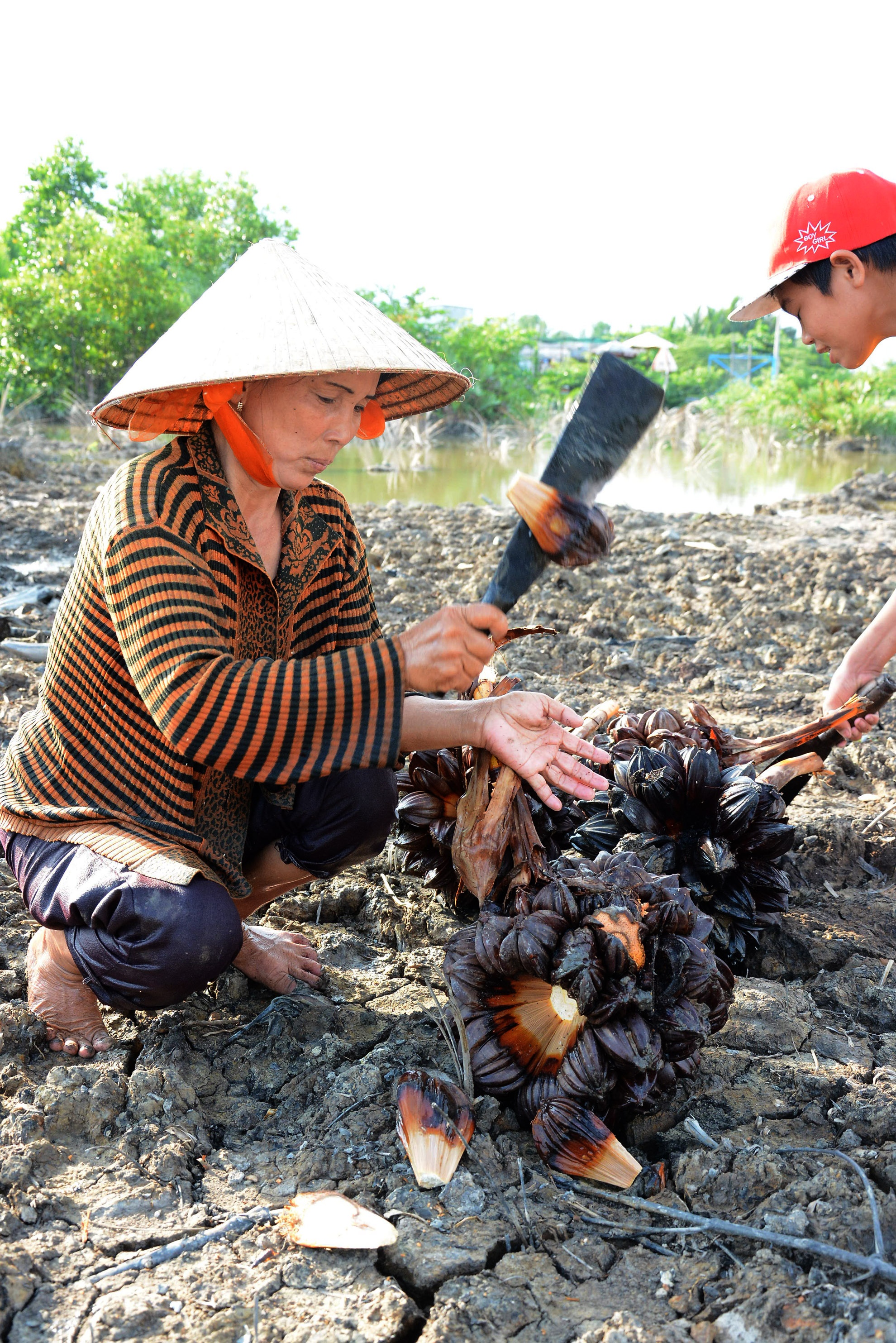 Mỗi ngày thu nhập của mỗi người như chị Hồng từ 100 đến 200 ngàn đồng. Số tiền này giúp chị trang trải cuộc sống gia đình.