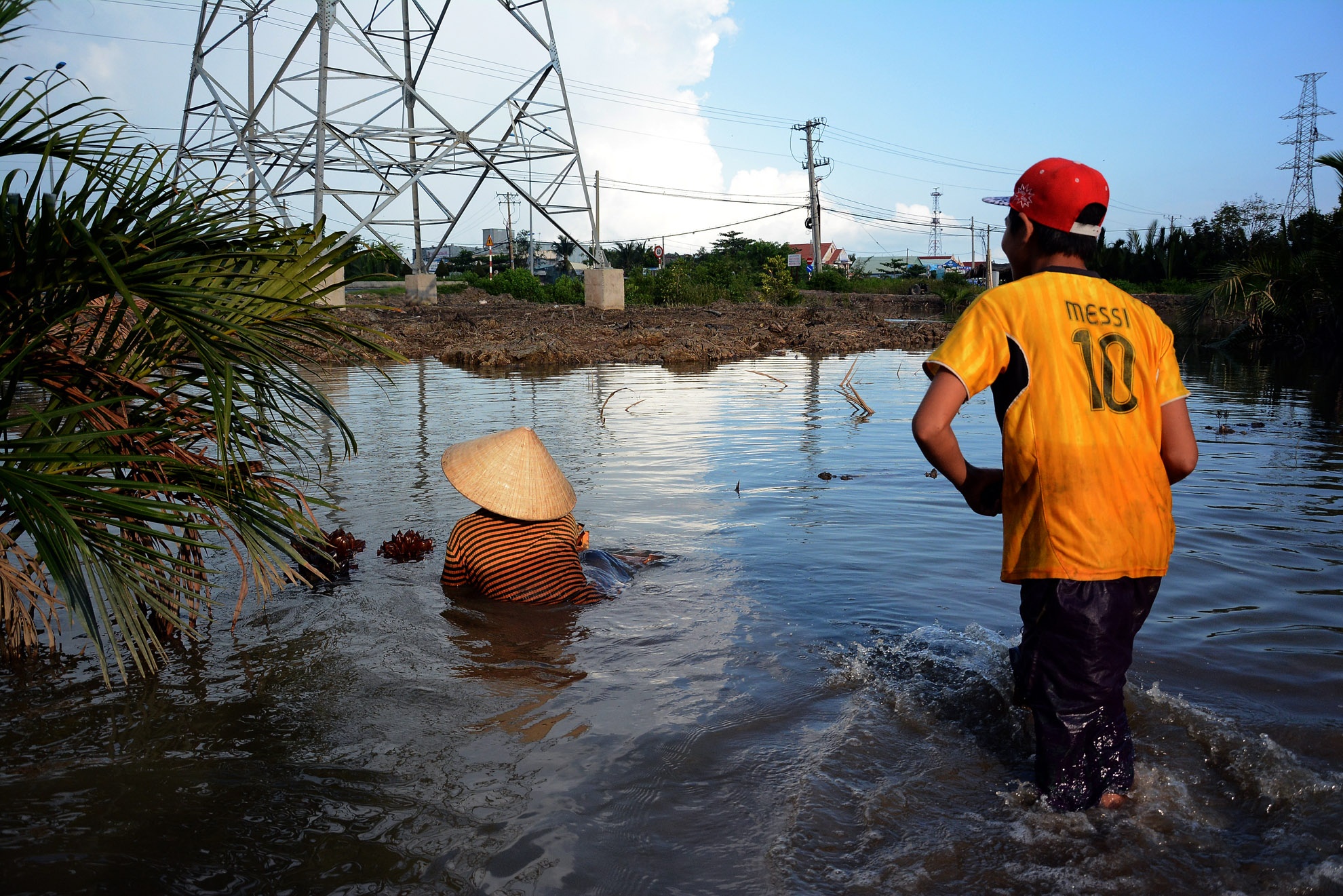 Rừng dừa nước ở Cần Giờ đều có chủ, các chủ rừng cho phép người dân xung quanh chặt trái để bán. Lá dừa nước được chủ khai thác bán cho người dân để lợp mái nhà, đan rổ rá...rất được ưa chuộng.