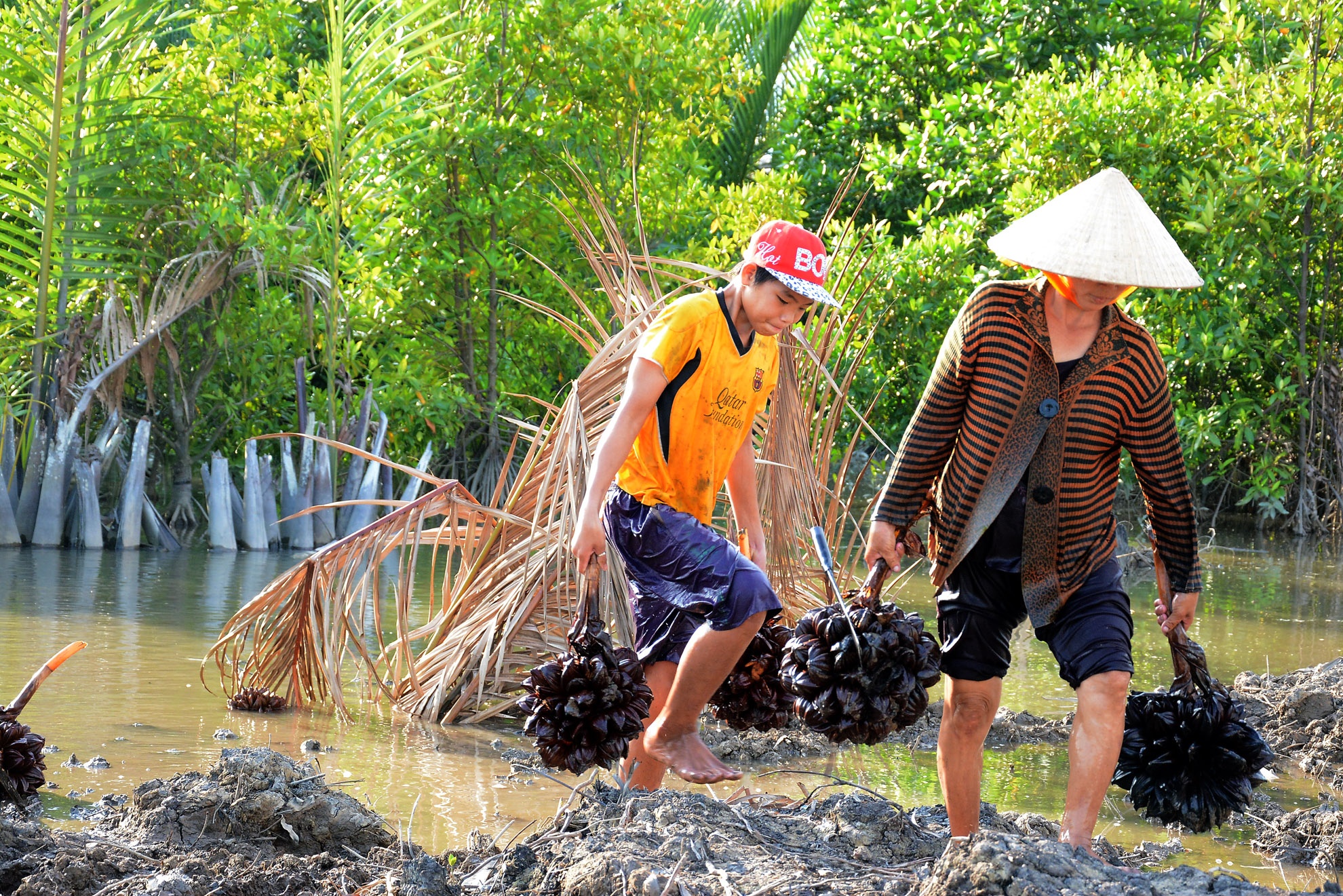 Vào mùa dừa nước, cả người lớn và trẻ em đều đi chặt mang ra lộ bán cho khách du lịch. Một quầy dừa bán được từ 12  đến 15 ngàn đồng.