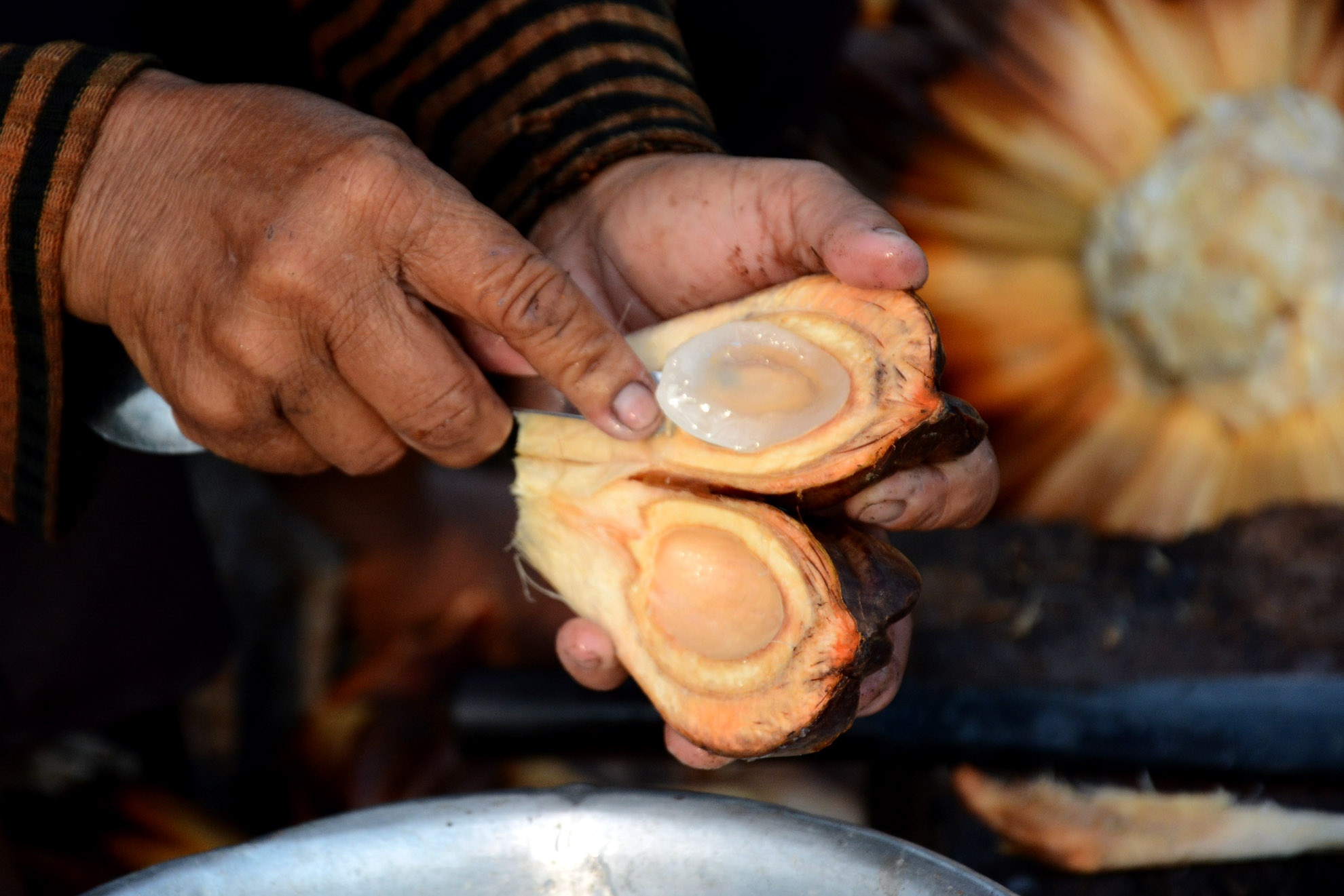 Để có được miếng dừa tươi ngon, phải trải qua nhiều công đoạn như chẻ đôi trái dừa sau đó dùng muỗng cạo cơm và rửa sạch.