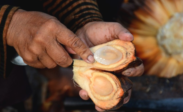 50.000 dong/kg dac san rung ngap man cua ngo Sai Gon hinh anh