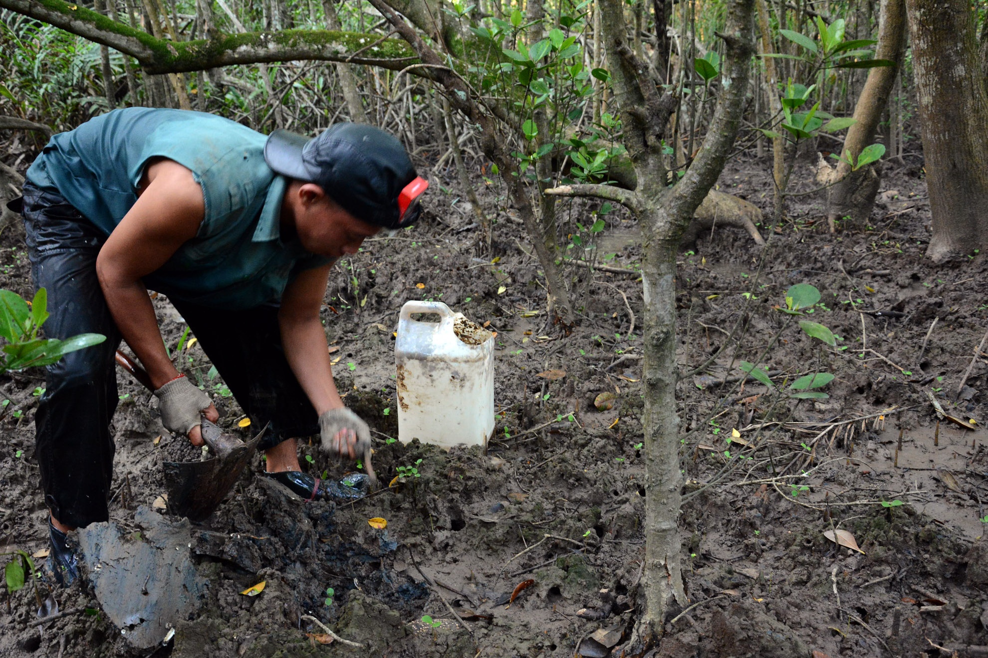 Anh Nguyễn Văn Sang (27 tuổi) vào rừng đào sâu đất để kiếm tiền nuôi vợ và mua sữa cho đứa con nhỏ. “Ban ngày thì đi đào sâu đất,còn ban đêm thì đi soi ba khía, bắt cá để kiếm thêm tiền nuôi vợ con” – anh Sang tâm sự.