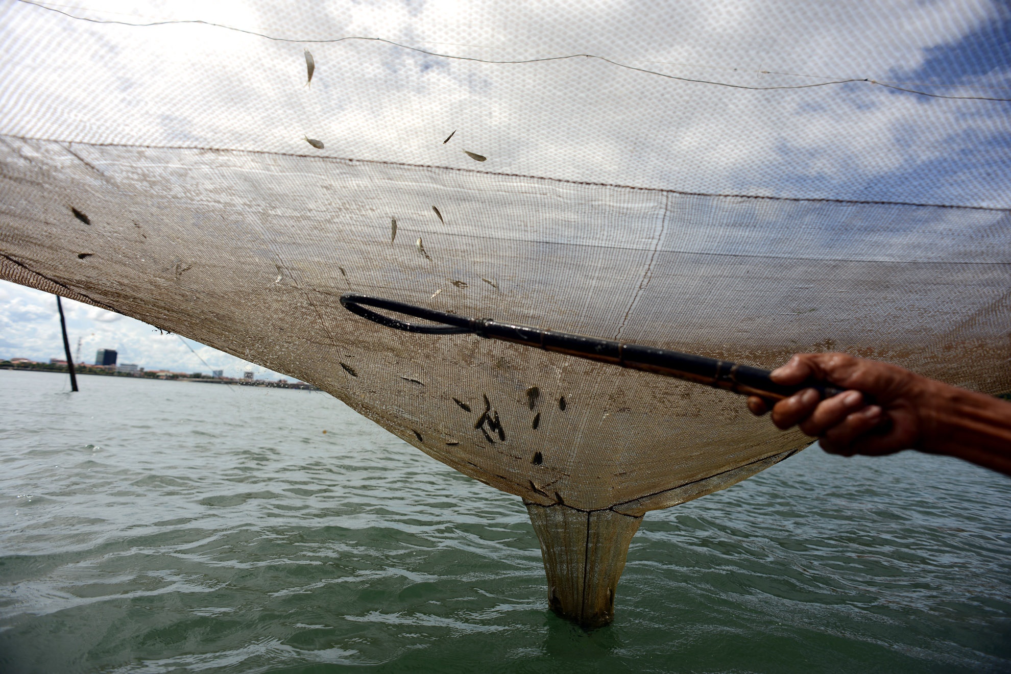 Cá không nhiều nhưng lúc có thể trúng vài tạ cá. Mùa lũ là lúc cá nhiều và ngon bán được giá.