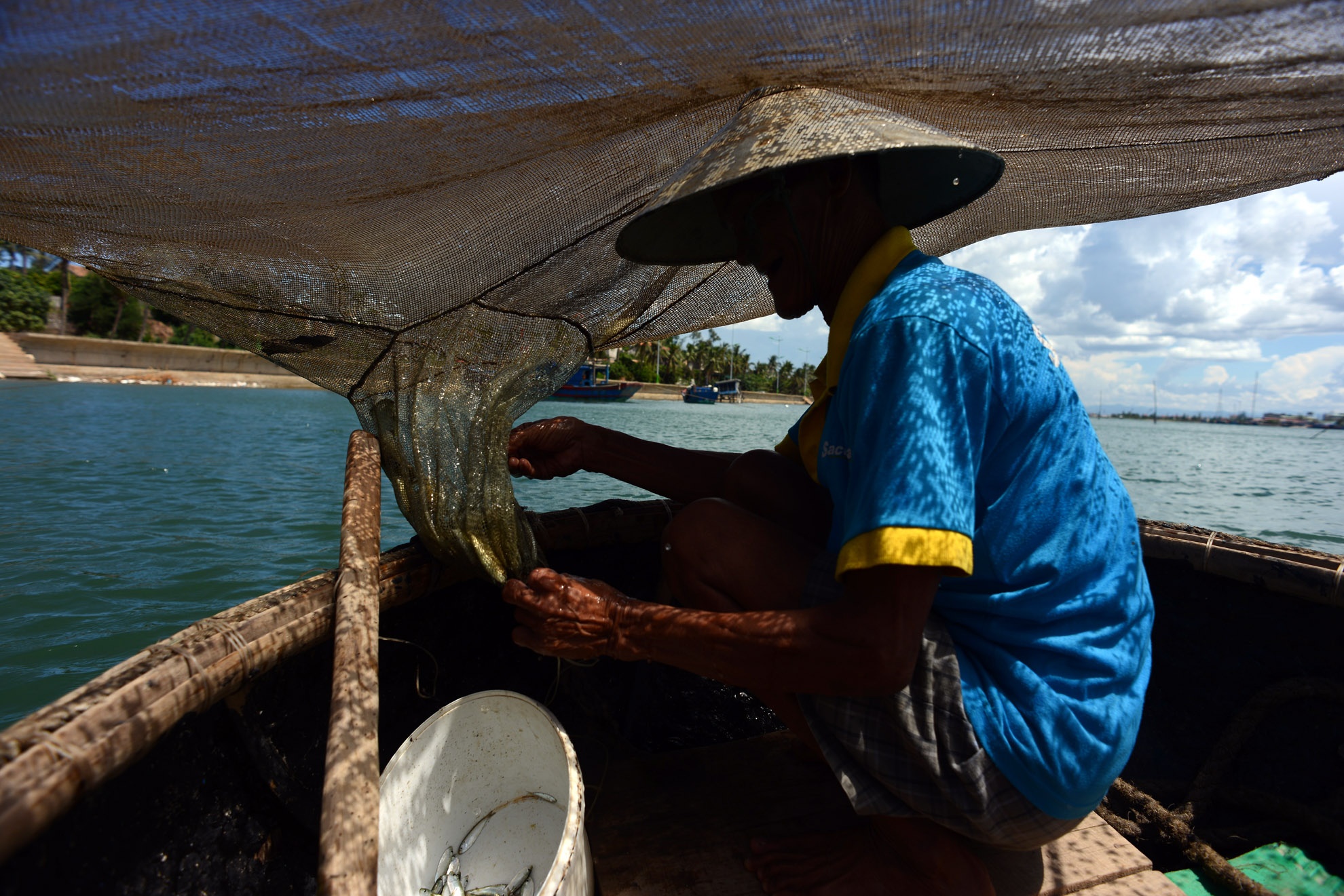 Mỗi mẻ cá lúc bình thường chỉ cho vài lạng cá. Cá nhỏ chủ yếu là cá mòi, cá kinhf...Mỗi ngày ông kiếm được  cỡ trăm ngàn nhưng cũng có ngày tay trắng