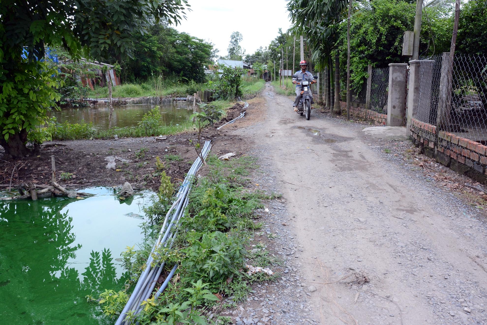 Những đường ống nước chạy quanh co khắp thôn xóm là một hình ảnh rất mới của ấp 1.