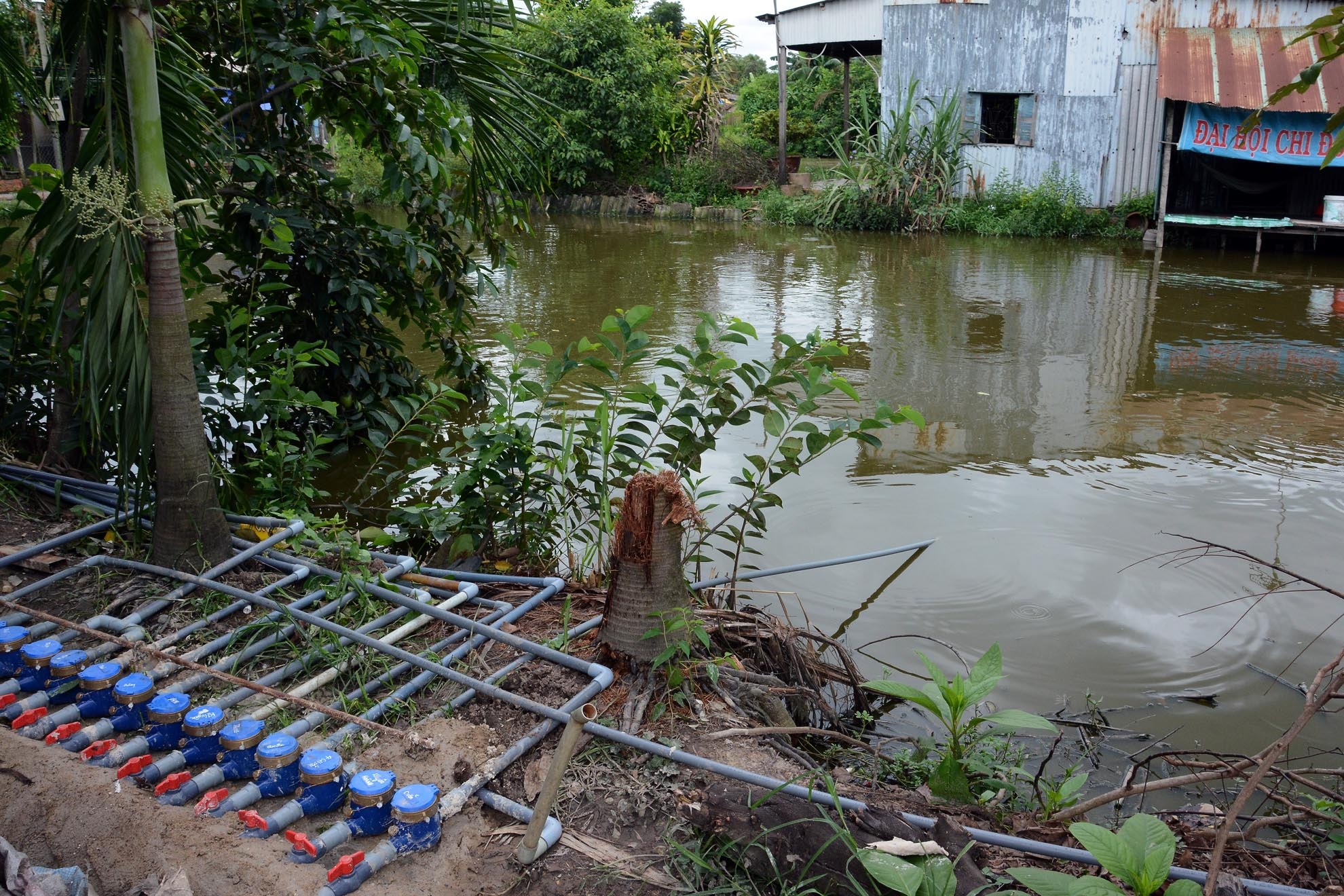 Nước sạch và ao tù là 2 hình ảnh đối lập thú vị.