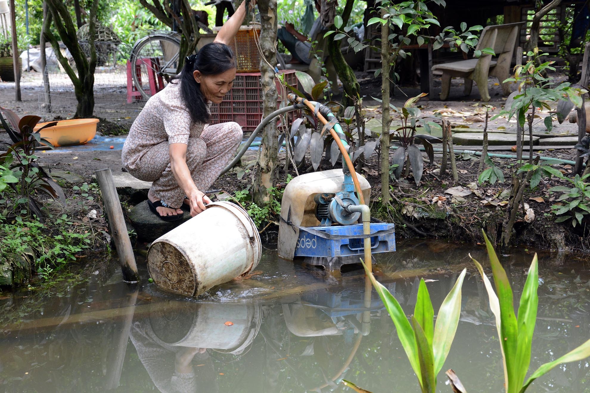 trong khoảng thời gian từ ngày 8 -22/7 tại tổ 8, ấp 1, xã Lê Minh Xuân thuộc huyện Bình Chánh xuất hiện ổ bệnh tiêu chảy cấp khiến một bệnh nhi 10 tháng tuổi tử vong và 6 người khác phải nhập viện điều trị.