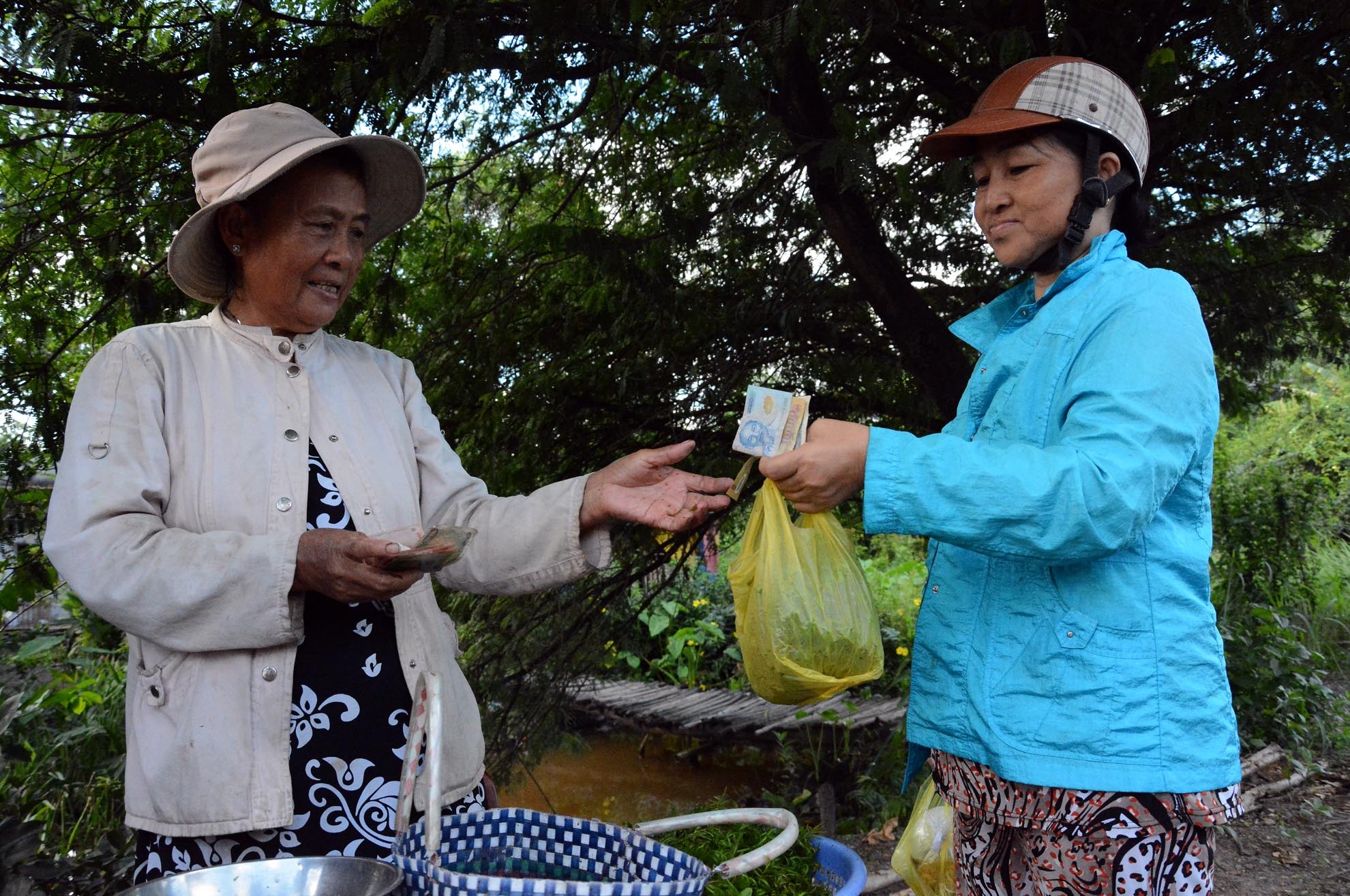 Mỗi ngày bà Thuê kiếm được từ 80 đến 1 trăm ngàn tiền bán rau. Số tiền không lớn nhưng người hái và bán rau chạy cũng có chút thu nhập để lo cho cuộc sống gia đình.