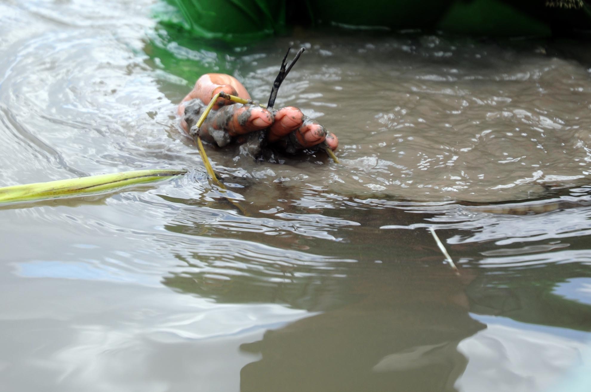 Làm nghề này, quan trọng là phải biết bơi và chịu ngâm nước thời gian lâu. Mỗi ngày, anh Vinh trầm mình dưới nước nhiều giờ để vớt trùn. Trong ảnh, anh Vinh đang thử bùn để tính toán xem có nhiều trùn chỉ trên một khúc sông.
