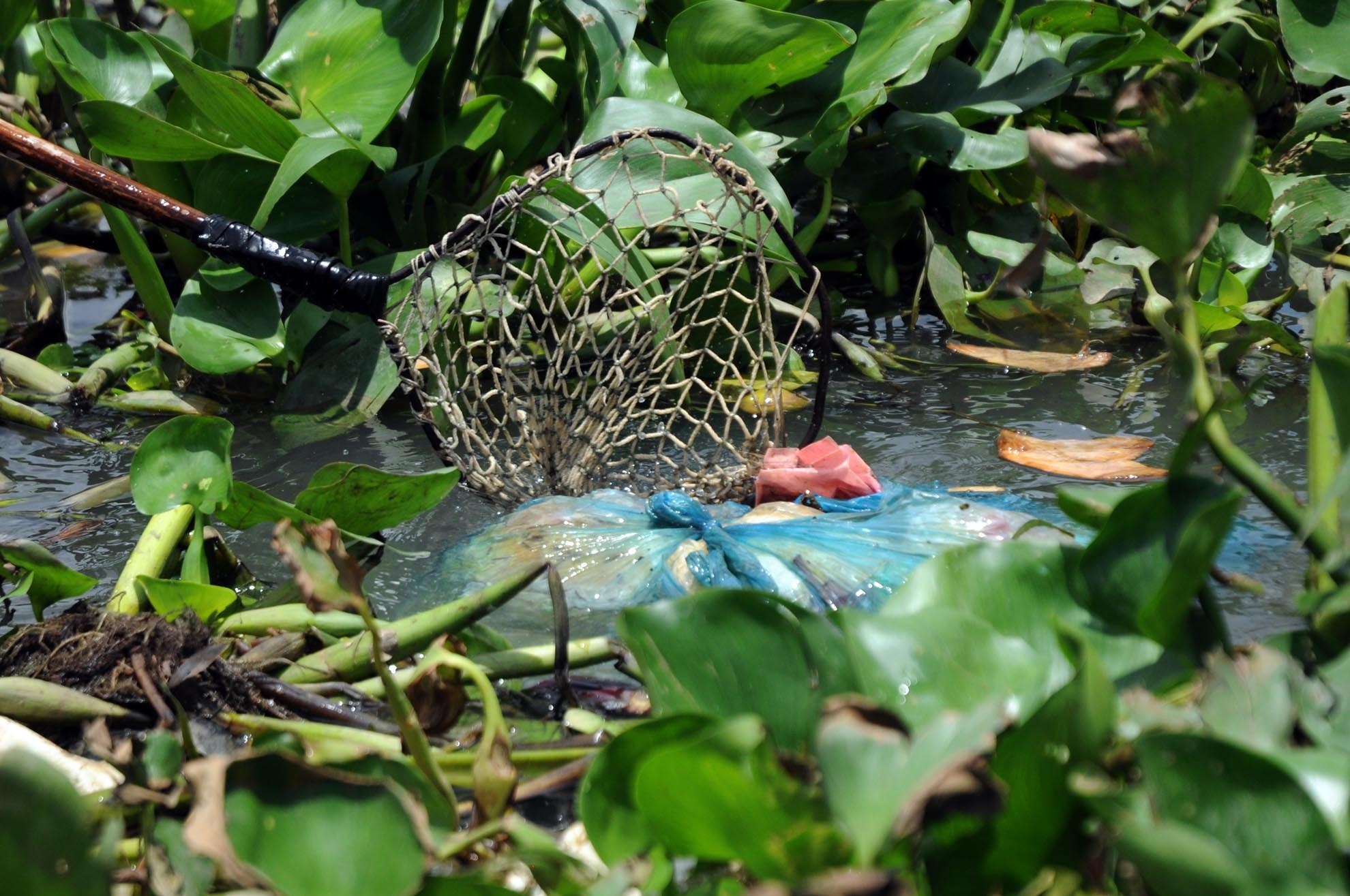 Bà Huệ từng đi bán xôi, nhận may quần áo…để có tiền nuôi con. Tuy nhiên, số tiền kiếm được không bao nhiêu nên bà bỏ để đi lượm ve chai trên sông.