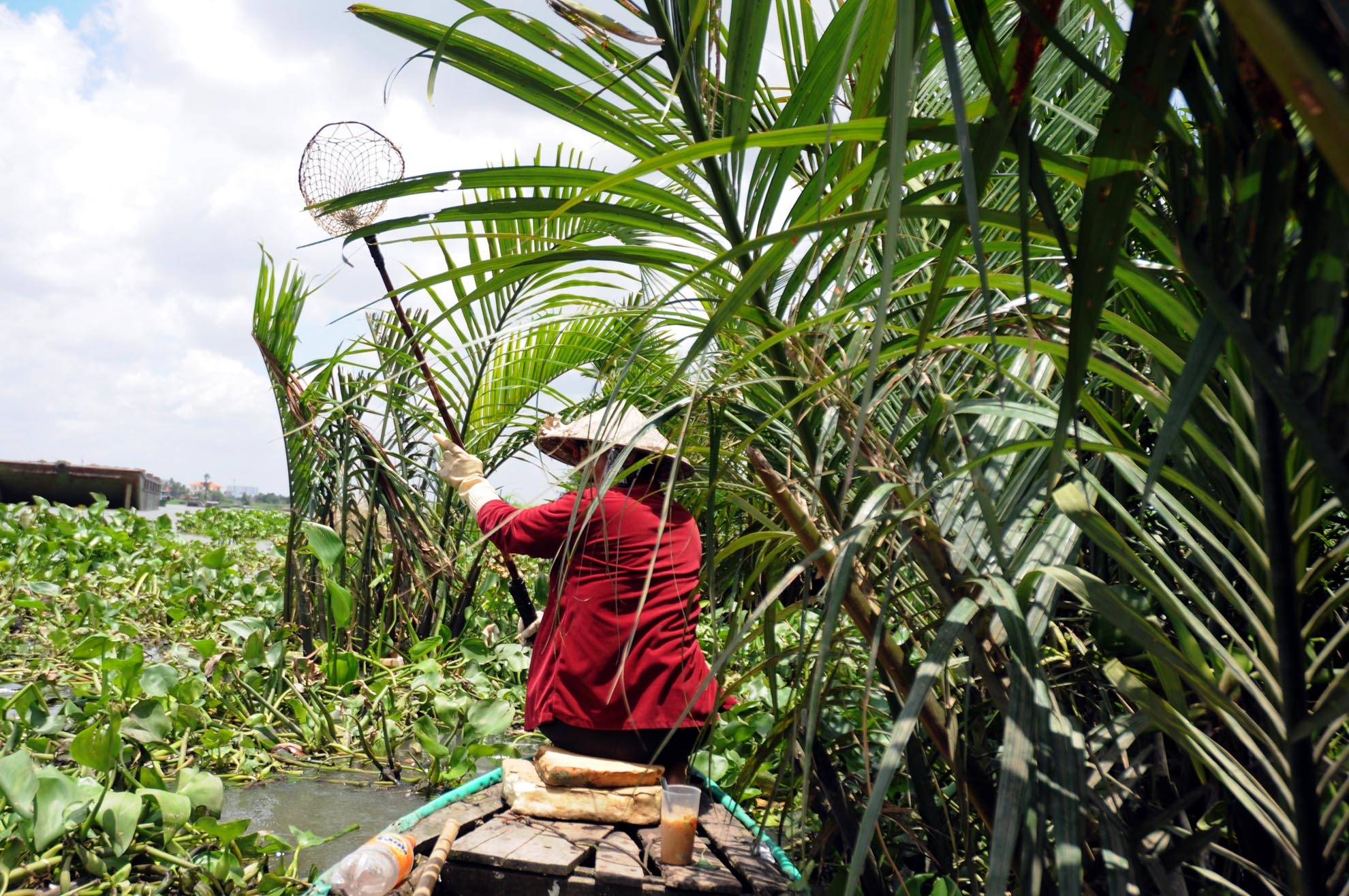 Ngày đầu mới đi lượm, bà chưa quen việc nên chỉ bán được mấy chục nghìn. Nghề dạy nghề, bà dần quen với công việc nên cũng kiếm được nhiều tiền hơn.