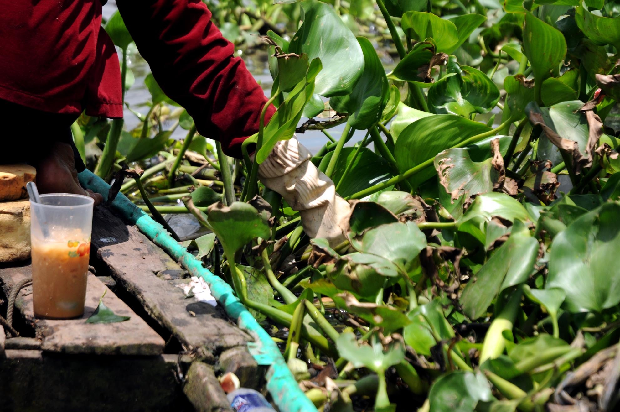 Theo bà Huệ, bà nhặt được đủ thức rác thải, vỏ chai nhựa trên sông. Nhiều hôm đi nhặt ve chai, bà thấy bịch rác thải thì tiện tay vứt lên bờ để làm sạch cho dòng sông.