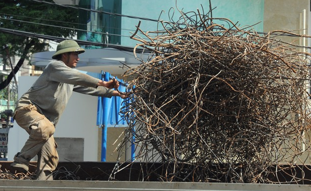 Kiem song bang nghe 'an xac nha' o Sai Gon hinh anh