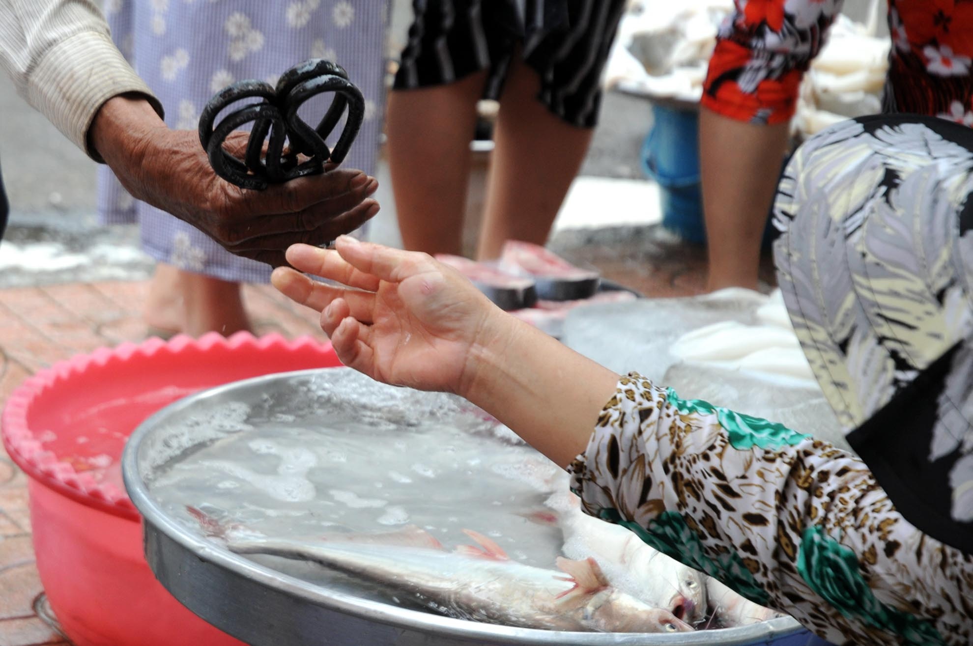 Ông Thanh vốn là một người thợ làm rèn, nhưng vì ở quê khó kiếm sống nên ông vào Sài Gòn đi mài dao kéo dạo.