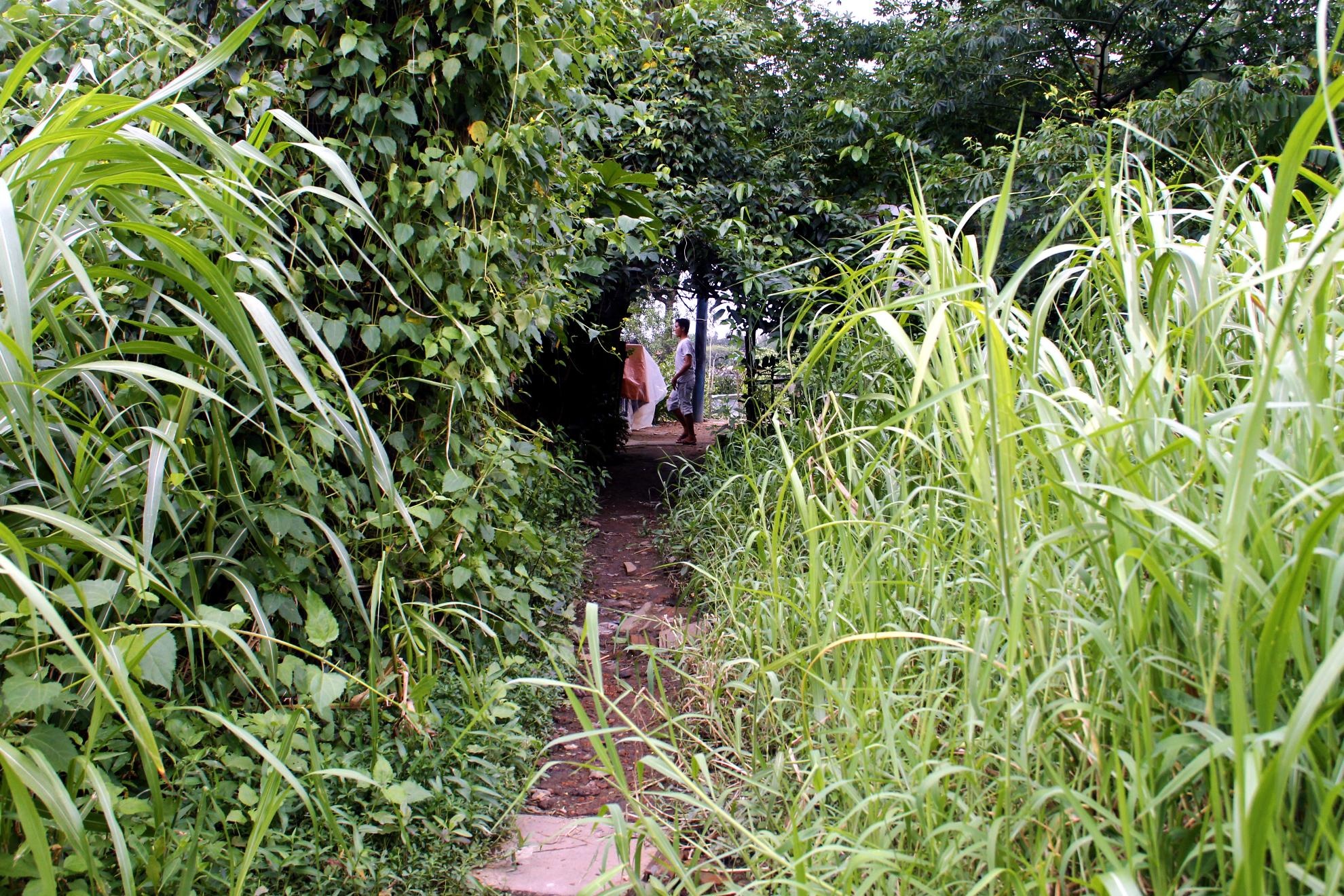 Những gia đình còn cư ngụ tại đây chưa di dời vì chưa hài lòng với mức đền bù của thành phố và họ quyết bám trụ tại đây. Để vượt qua khó khăn các gia đình cùng giúp đỡ lẫn nhau để sinh sống qua ngày. Đường vào các gia đình giống như đường băng qua những vùng đất hoang phế nhiều năm.