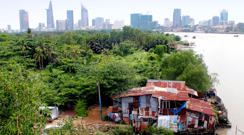 Cuoc song trong khu rung co lau giua Sai Gon hinh anh