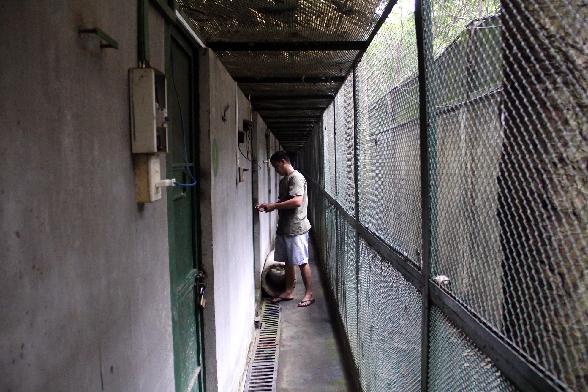 Mỗi loài động vật đều có những đặc tính khác nhau nên trung tâm có sự phân chia các khu cách ly phù hợp cho hoạt động chăm sóc và bảo vệ. Hiện nay các khu này đều có camera theo dõi.