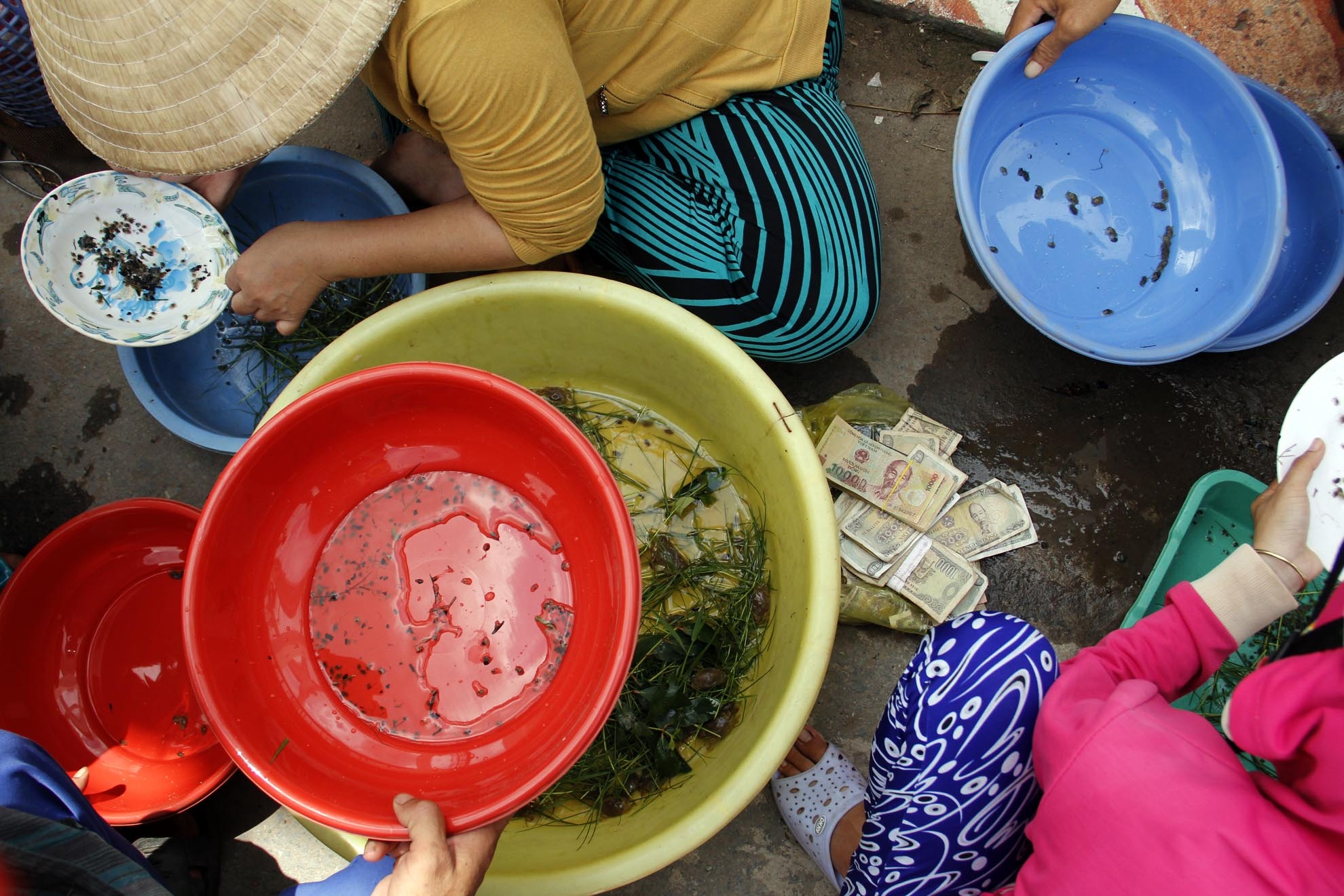 Thường khi lái đếm lại cua đều hô to số lượng để người bán kiểm chứng nên không khí rôm rả cả một khúc đường