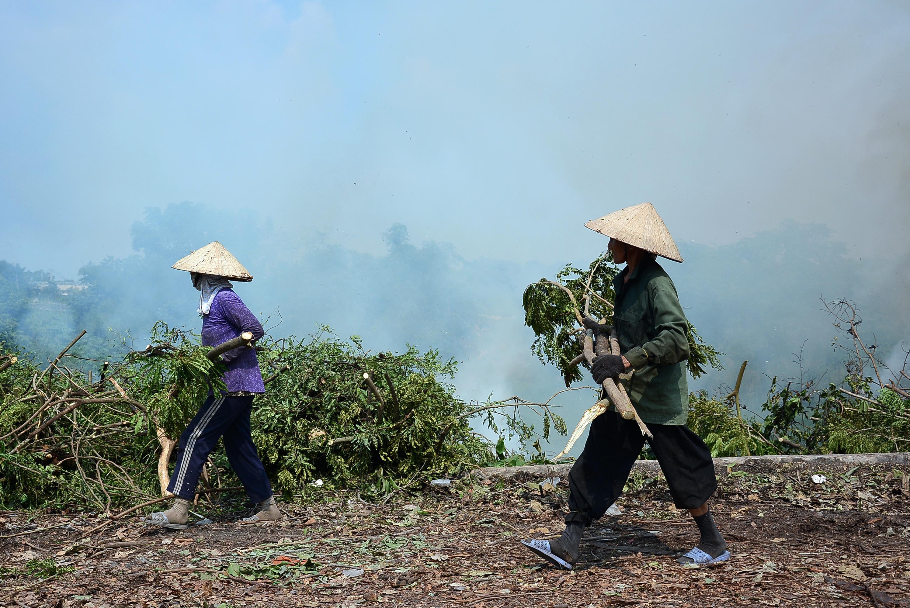 Sau bữa ăn vội vàng, bà Hai cùng những người khác lại tất tả lao ra bãi để kiếm củi. 
