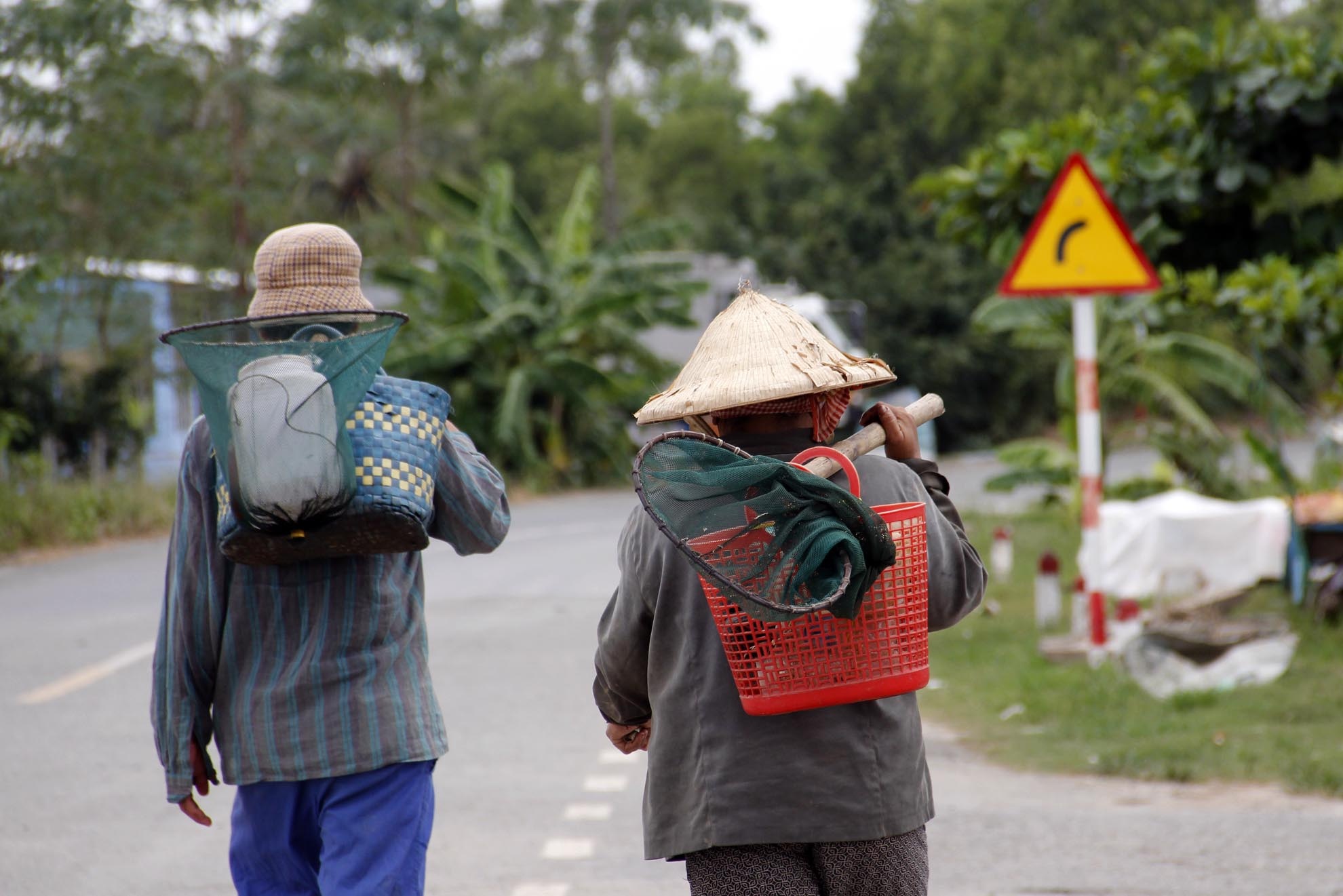 Cứ tầm tờ mờ sáng là người dân ven cửa biển Trần Đề là theo kinh Tiếp Nhựt ra cửa biển săn cua con giống tự nhiên. Dụng cụ săn cua rất đơn giản chỉ gồm một chiếc vợt đường kính khoảng 20-30cm gọi là xiệp, một chiếc thau nhựa nhỏ để đựng cua có bỏ sẵn ít cỏ rong biển, và cà mên đựng đồ ăn dùng cho bữa trưa