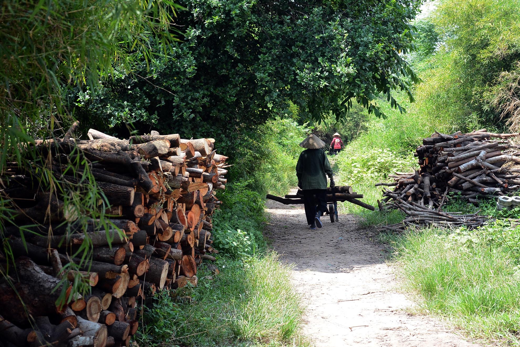 Hằng ngày cứ 7 giờ sáng, bà Hai cùng những người mót củi ở ấp 3, xã Đông Thạnh, huyện Hóc Môn, TP.HCM lại vào bãi rác của Công ty công viên cây xanh TP.HCM để mót củi. 