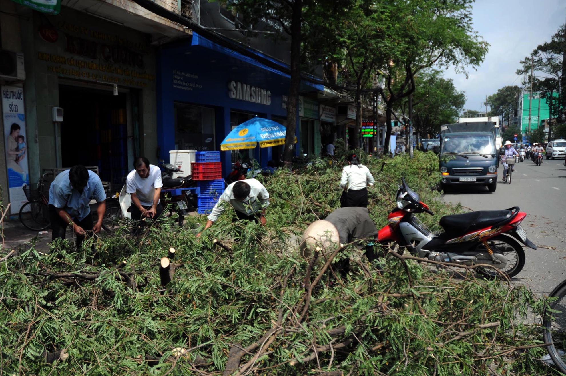 Đoạn đường Hồng Bàng-Nguyễn Thị Nhỏ (quận 5) với hai hàng cây me mọc bên đường nhiều năm nay,, nhiều trái.