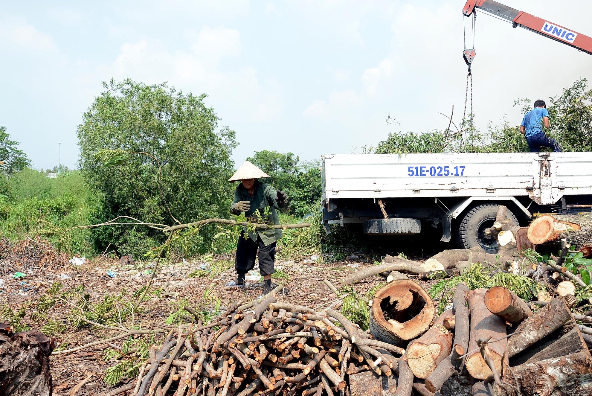 Tận dụng những cây bị đốn bỏ của công ty, Bà Hai mót những thân cây, nhánh cây dùng dao chặt bỏ lá sạch sẽ, chặt thành nhiều đoạn bằng nhau và sắp xếp gọn thành từng đống củi. Mỗi người sẽ được chia thành những đống củi khác nhau.