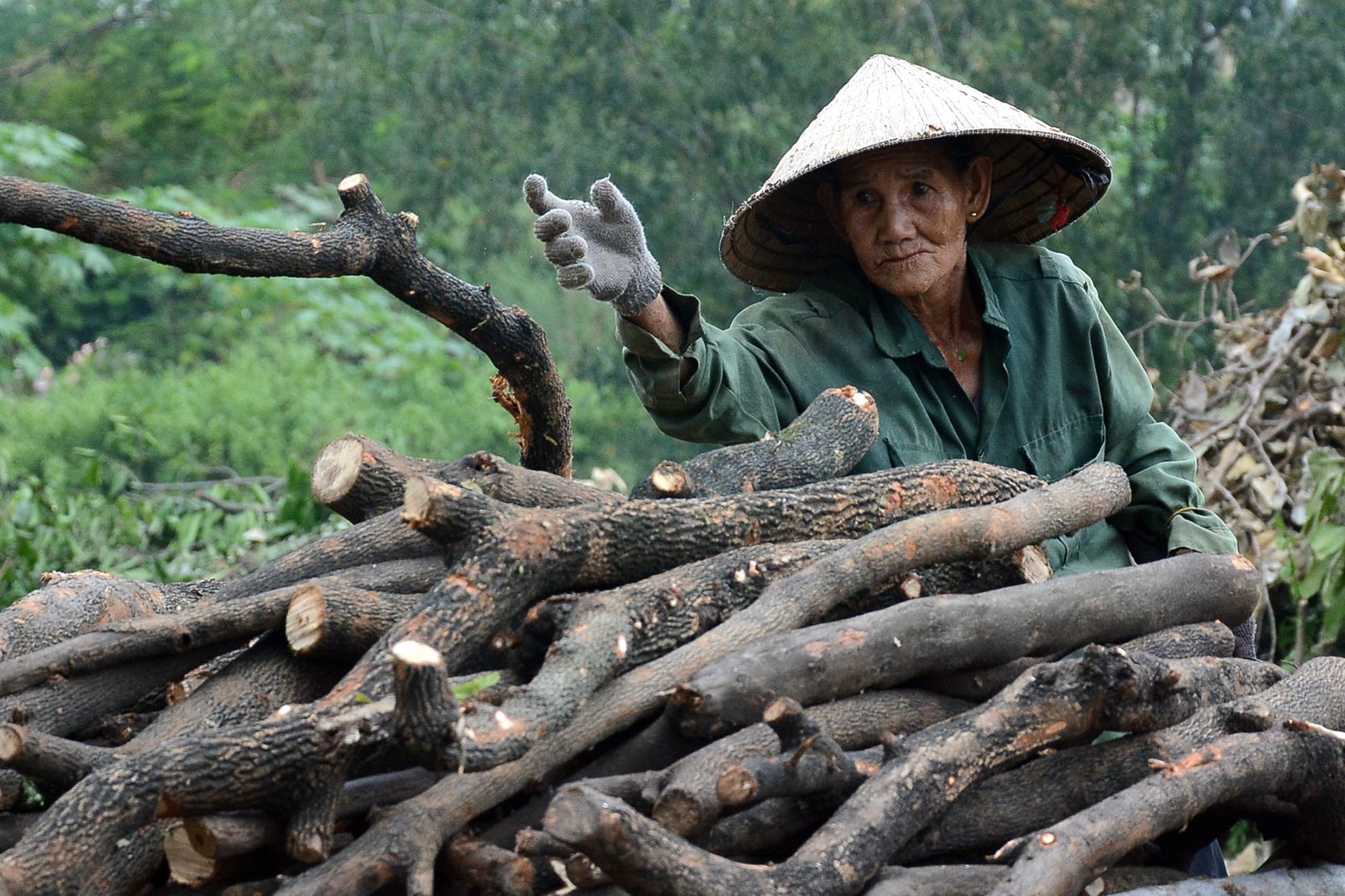 Công việc của những người mót củi như bà Hai rất cực khổ nhưng thu nhập lại bấp bênh. Có ngày kiếm được 30 ngàn, 50 ngàn đồng, có ngày về không.