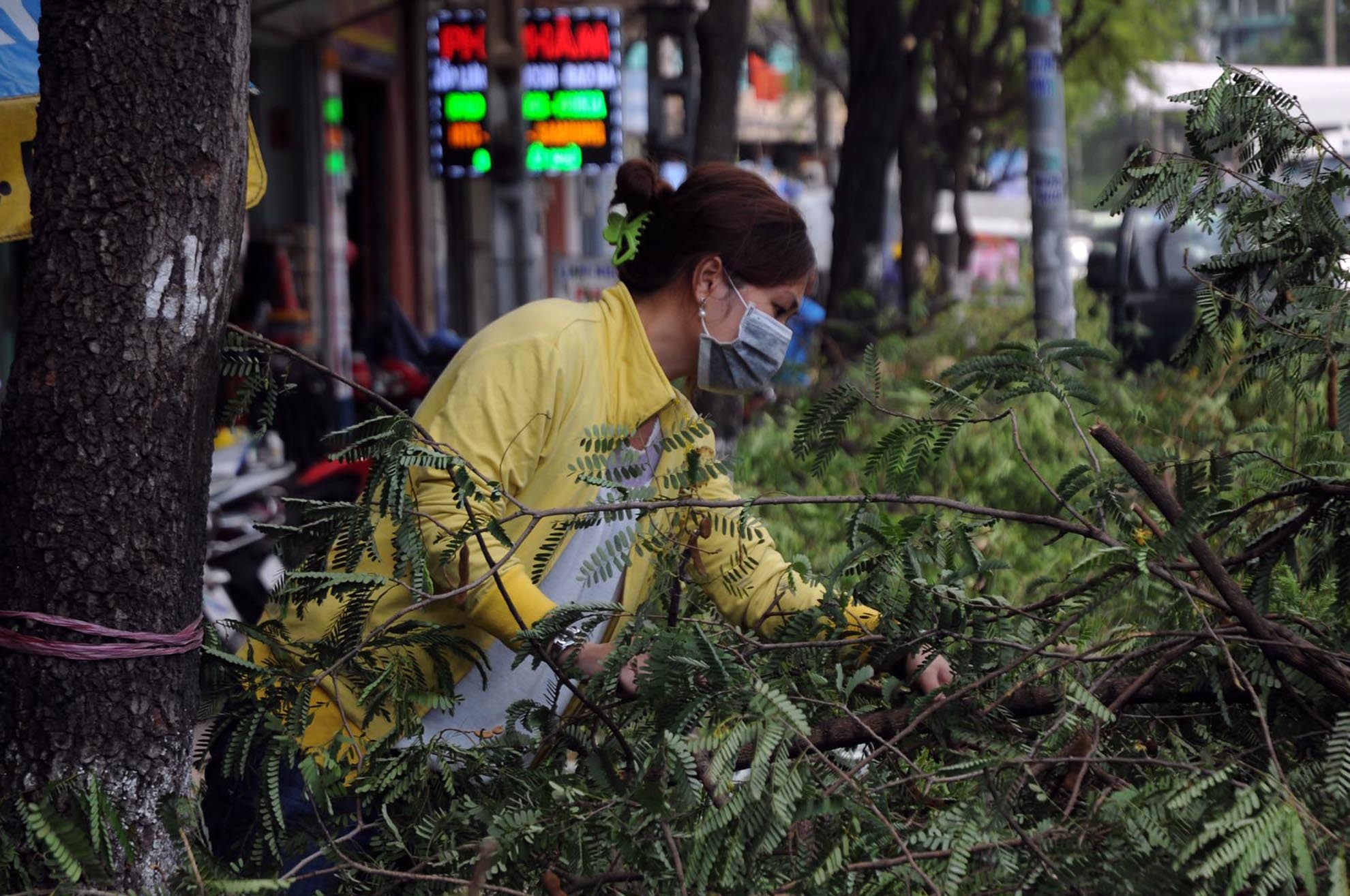 Theo nhiều người, loại me này trái to nên nấu canh chua ăn rất ngon. Nếu ra chợ mua chưa chắc đã có, lại tốn tiền.