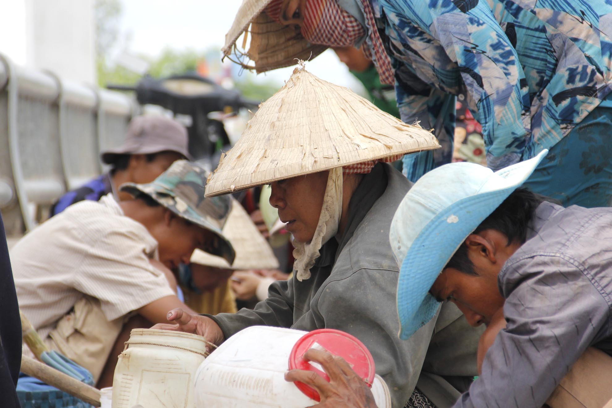 Không khí hết sức náo nhiệt và khẩn trương. Xiệp thủ kiếm lái quen để bán cho được giá. Lái cũng kiếm xiệp quen để đủ hàng thu gom không lại sợ không đủ số.