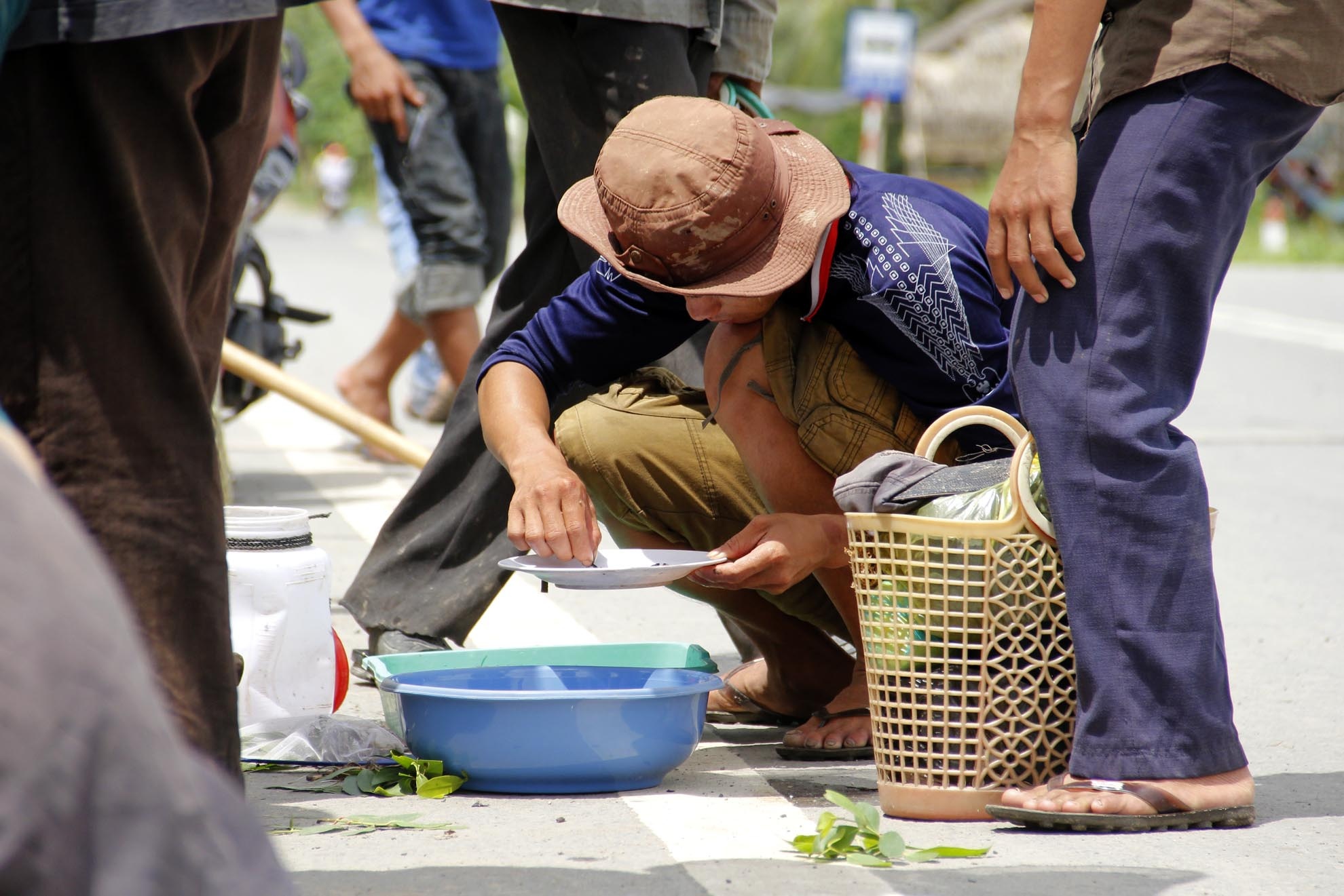 Sau đó được cho vào một dĩa lớn để thuận tiện đếm và phân loại. Giá cua dao động từ 500 đến 700 đồng/ con.