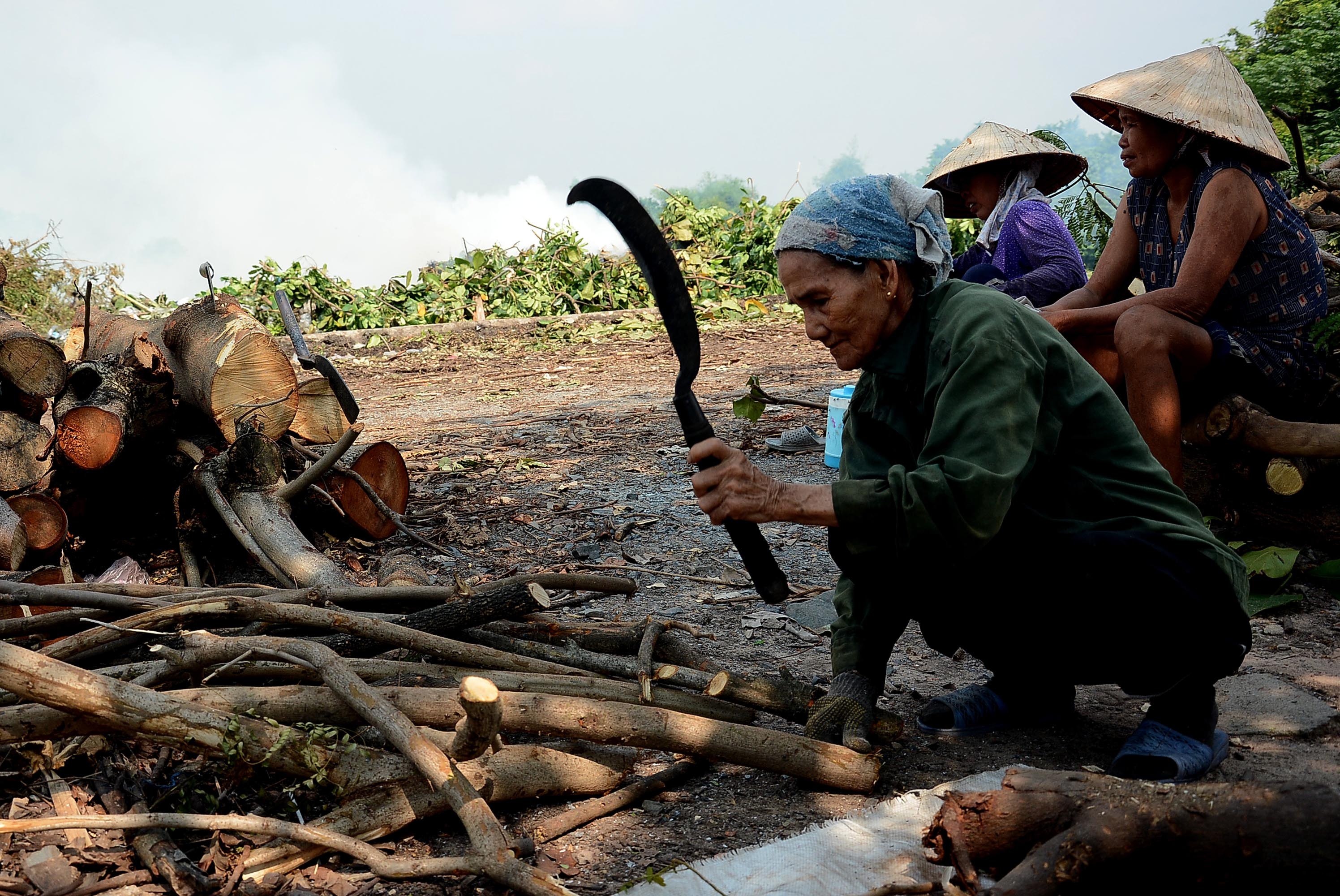 Thỉnh thoảng, mỗi khi cần mua củi khách đến bãi để lựa chọn. Mỗi xe củi xếp đầy chiếc ba gác có giá 200.000 - 250.000 đồng, còn đầy xe máy cày thì 550.000 - 600.000 đồng/xe. 