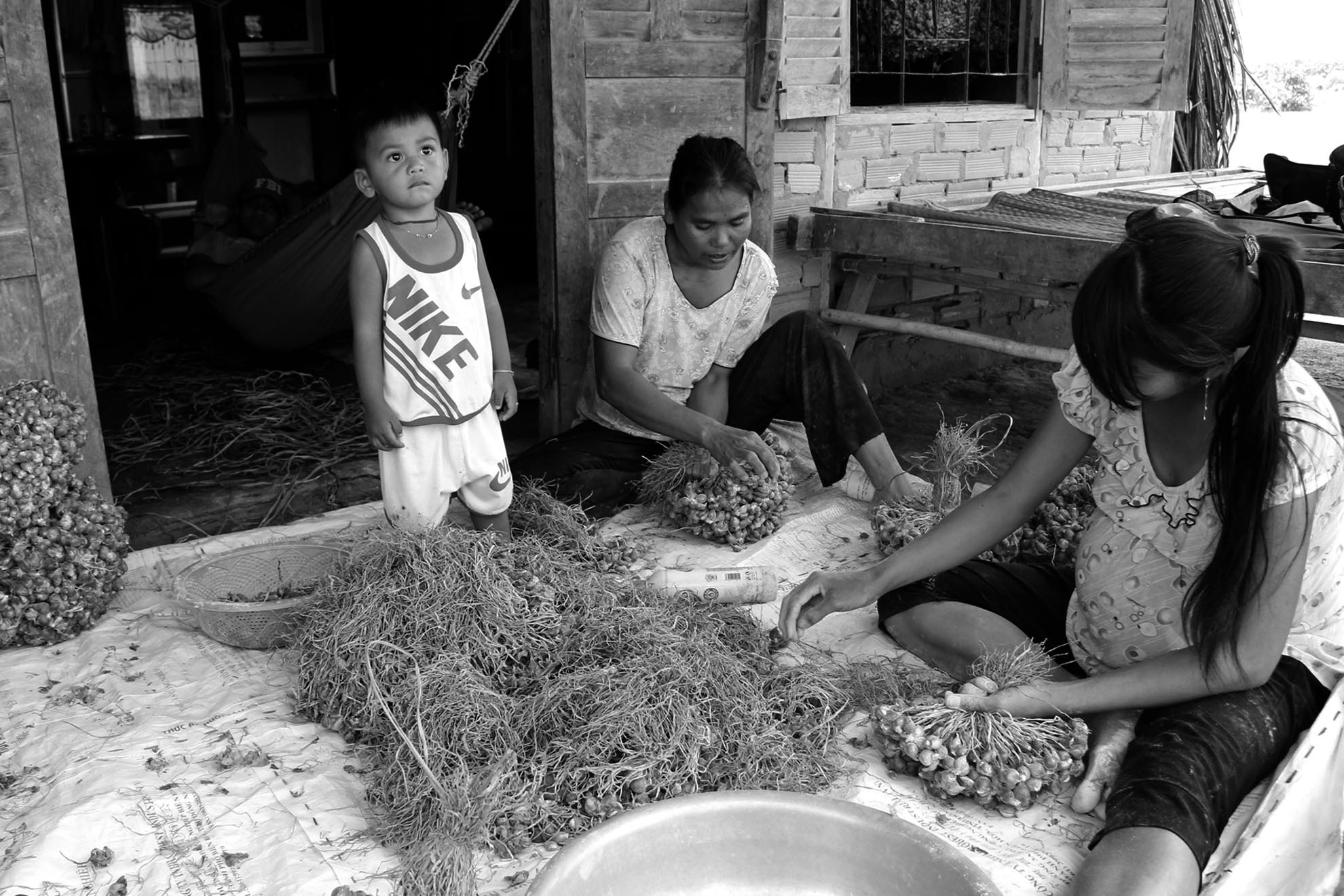 Không ai dám khẳng định chính xác có phải mù do làm hành hay không song đó là được xem như là nguyên nhân lớn nhất. Vì hầu hết các trường hợp mù trong ấp đều trồng hành. Người Đại Bái làm hành nhưng không trang bị bảo hộ trong khi đó các chất bảo quản hành chống côn trùng đều là những chất độc hại dẫn đến nguy cơ mù mắt rất cao.