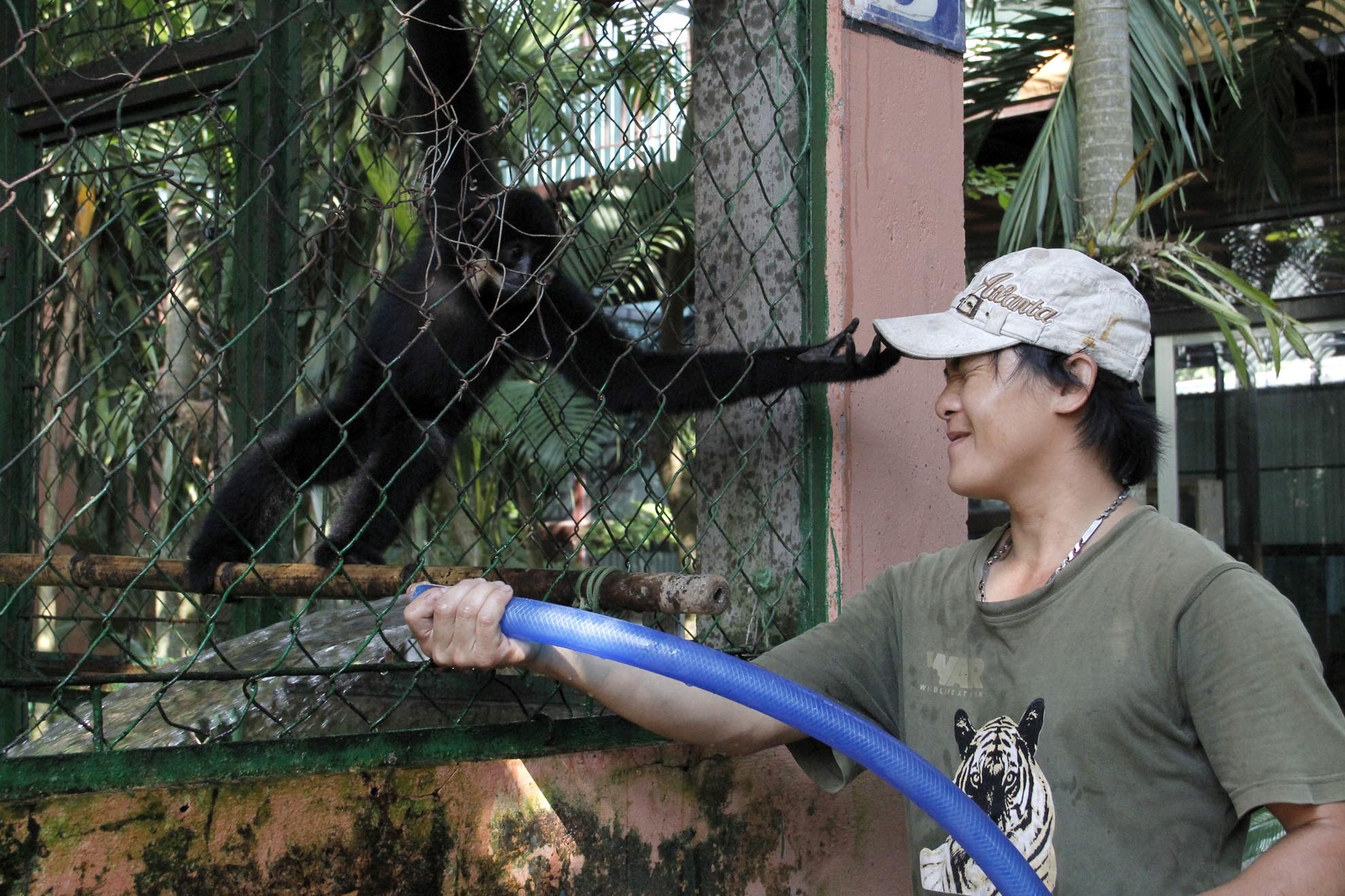 Chú vọoc nghịch ngợm này thường trêu đùa các nhân viên khi họ chăm sóc chúng. Mỗi ngày, nhìn thấy các con thú phục hồi, có thể vui vẻ đùa giỡn không còn sợ sệt các anh lại thấy yêu thích và niềm vui cũng lớn dần theo đó.