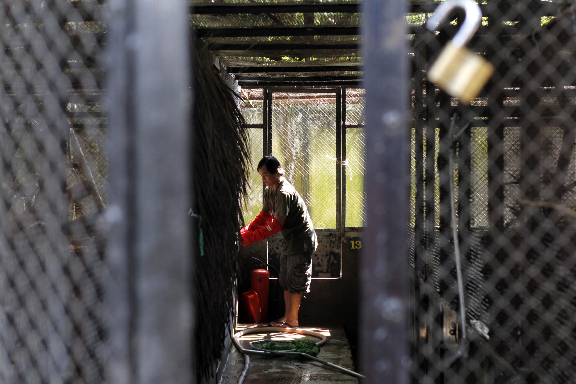 Ở các khu vực khác cũng tùy theo từng giống loại đều phải có biện pháp bảo vệ khác nhau. Bên cạnh việc bảo vệ trung tâm còn phải đề phòng chống trộm từ bên ngoài. Các khu vực quan  trọng đều có gắn camera theo dõi 24/24