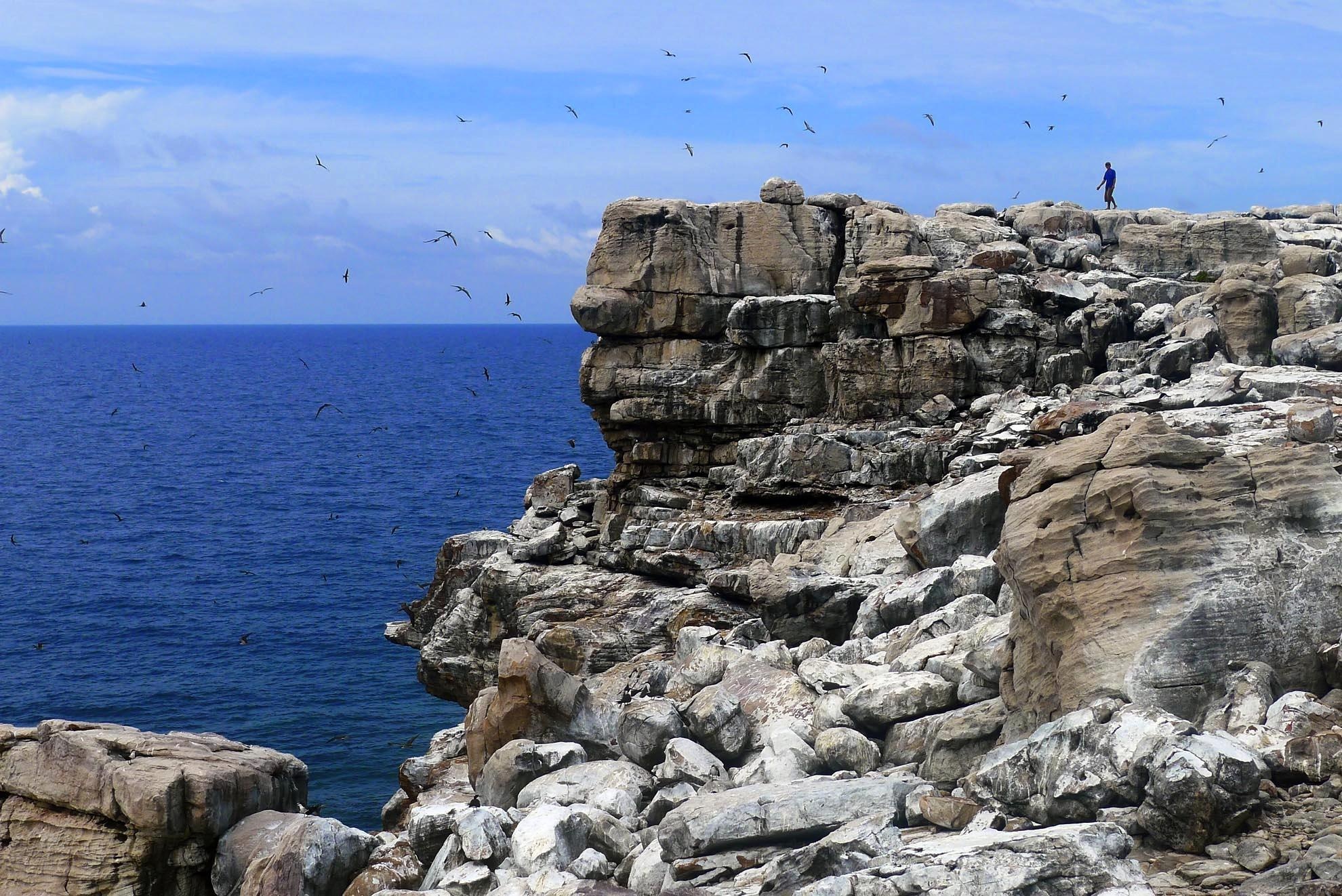 Hòn nhạn là một hòn khô được cấu toàn toàn bằng đá, trên đảo hầu như không có cây lớn sinh sống chỉ toàn cây bụi nhỏ. Cả ngày đảo đón cái nắng gay gắt của mặt trời rồi biến thành một lò nung hầm hập. Song chính vì như vậy là lại nơi thuận tiện cho chim nhạn kéo về làm tổ. Đó cũng là lý do do hòn có tên hòn nhạn.