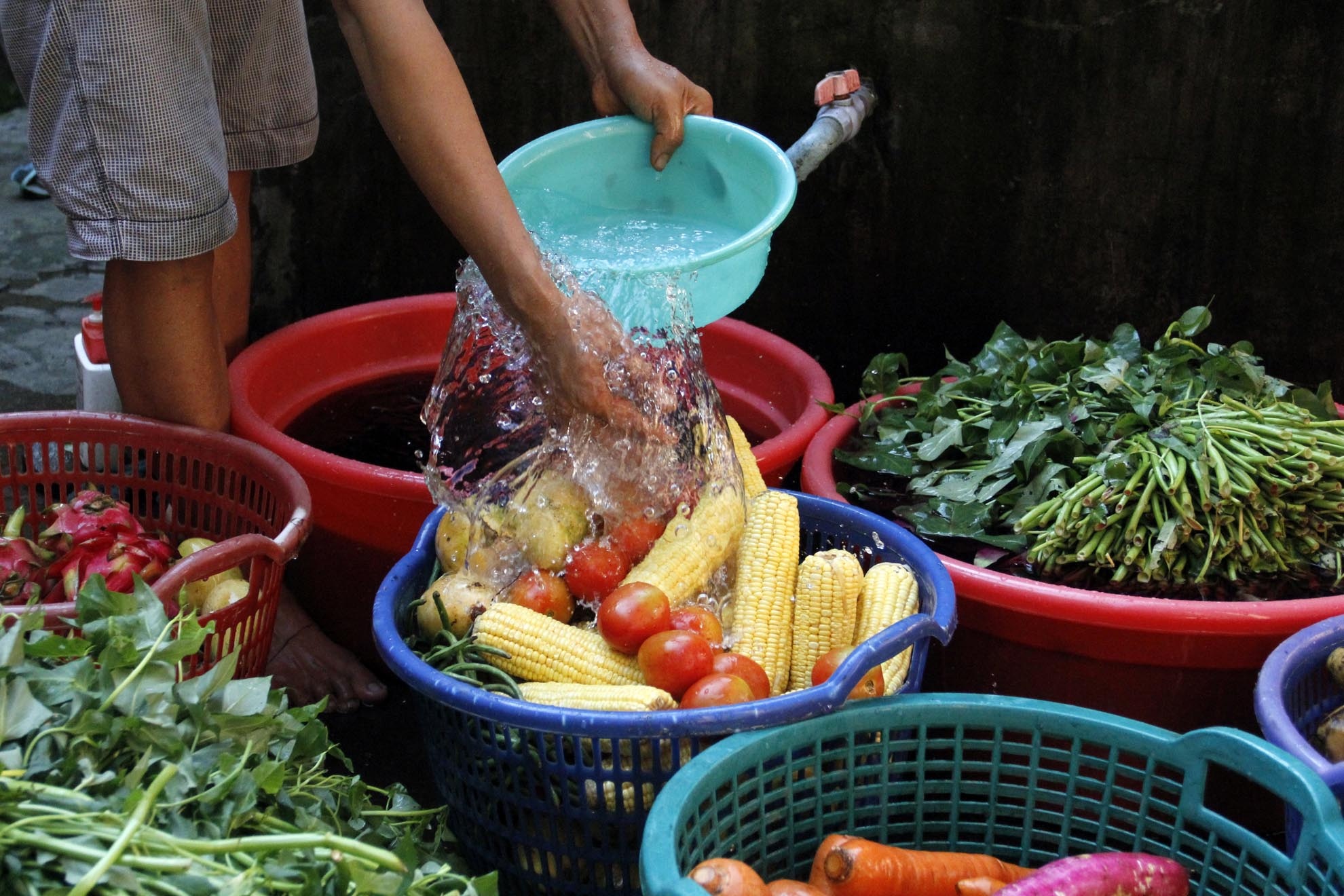 Đối với các loại thú linh trưởng rất dễ bị bệnh, vì thể rau củ quả cho ăn cũng được sát trùng bằng thuốc tím cẩn thận. Thức ăn phải đảm bảo không bị hư thối tươi ngon.