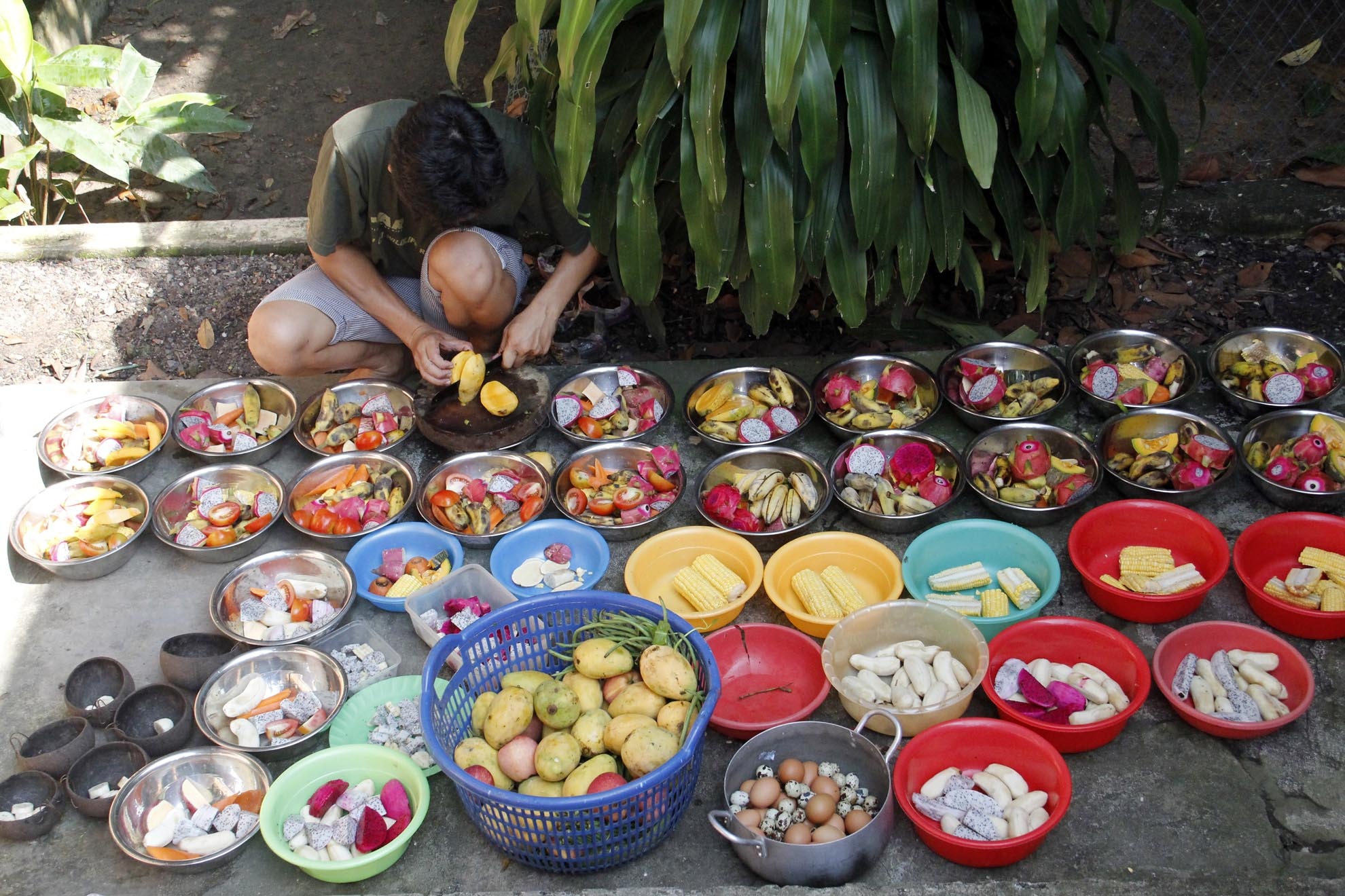 Với hơn 200 cá thể việc chuẩn bị đồ ăn cho mỗi bữa mất khoảng 2g đồng hồ với nhiều loại khác nhau. Với những loại thức ăn đặc biệt khó kiếm như trứng kiến cho tê tê, trút thì trung tâm phải hợp đồng với người dân để thu mua đảm bảo đầy đủ.