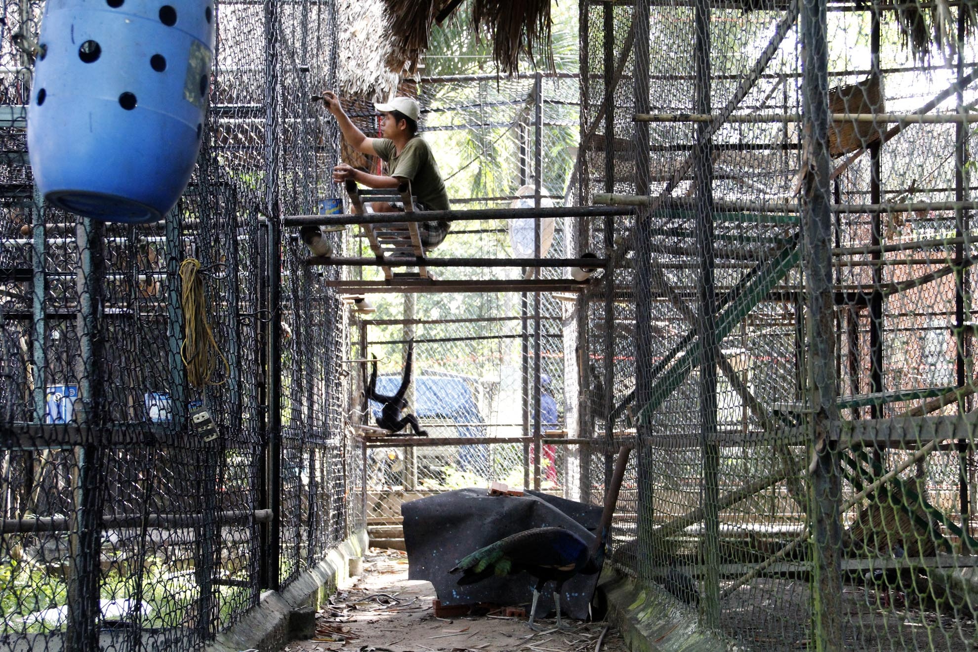 Anh Lê Thanh Bình chia sẻ:  Dù công việc rất cực nhọc và dày đặc nhưng hầu như các cán bộ, nhân viên không phàn nàn gì cả và đều có ý định gắn bó lâu dài với trung tâm.